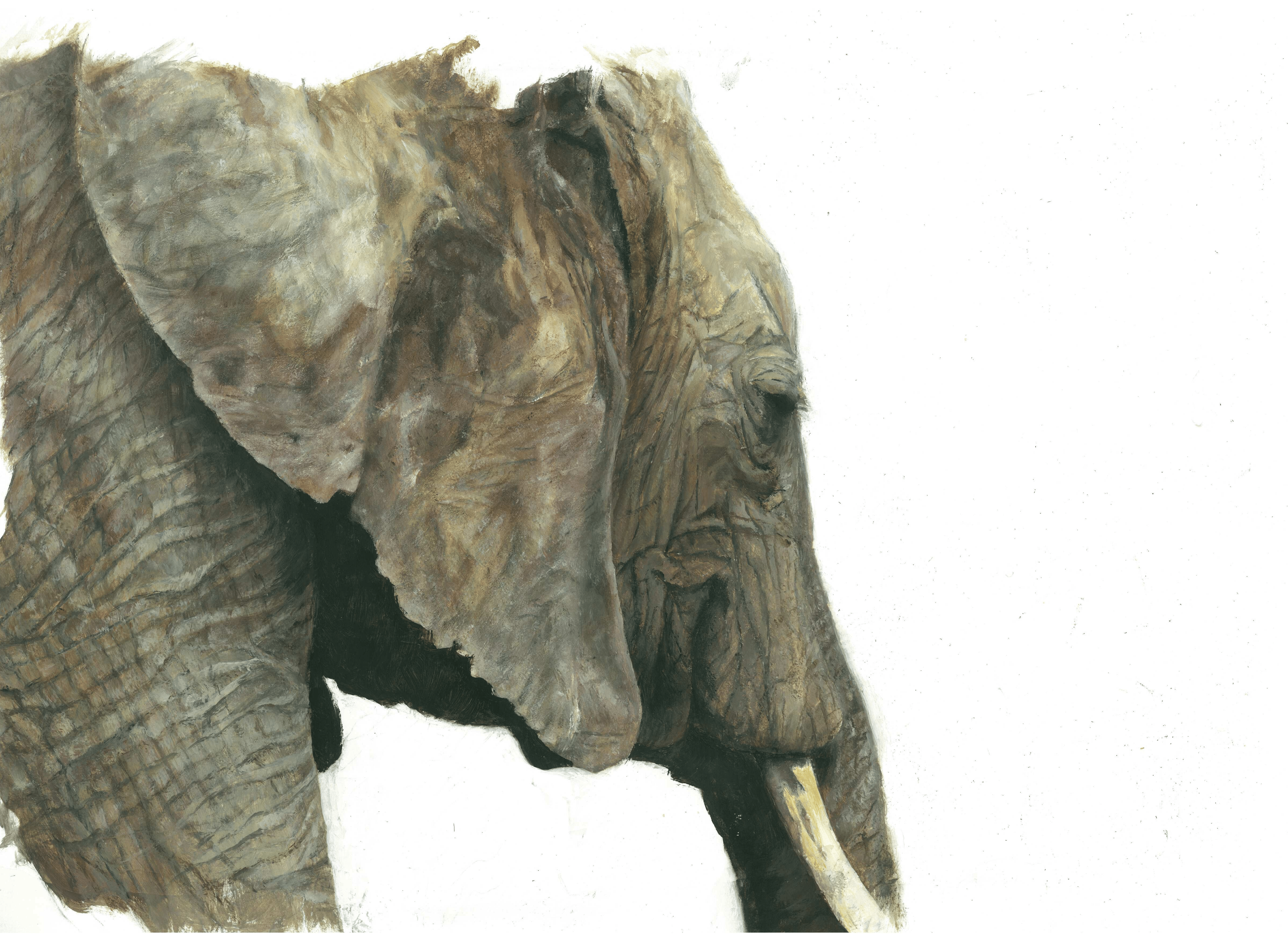 A3 Paper Art - Prints