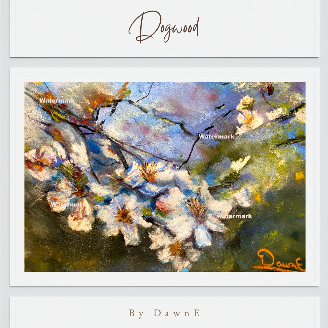 Dogwood Pastel 9 x 12 unframed