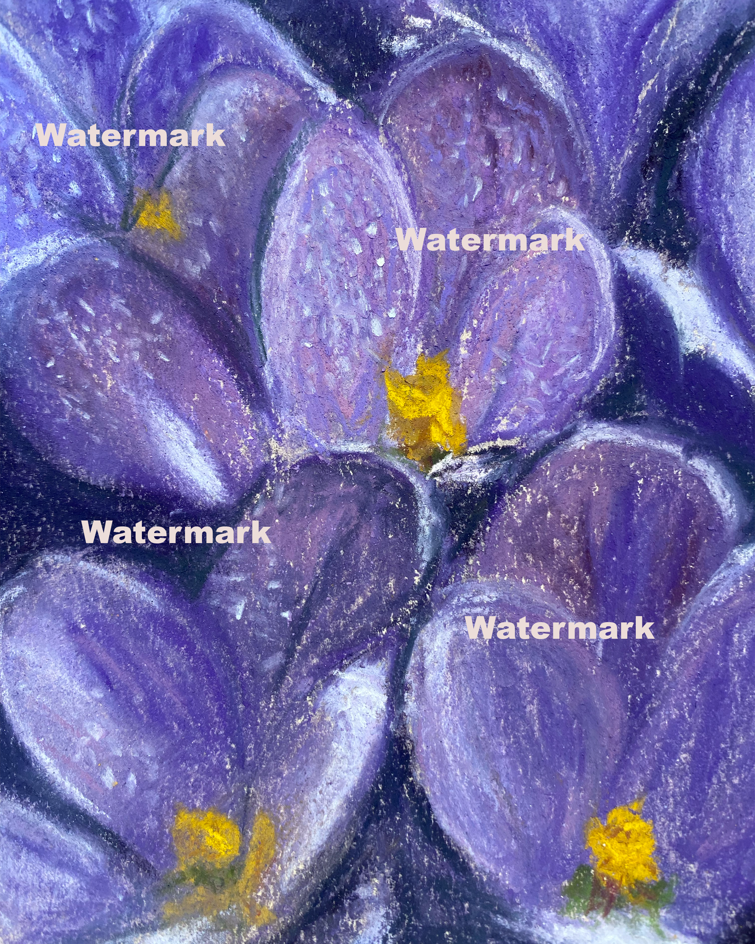 Violetes 8 x 10 Print unframed