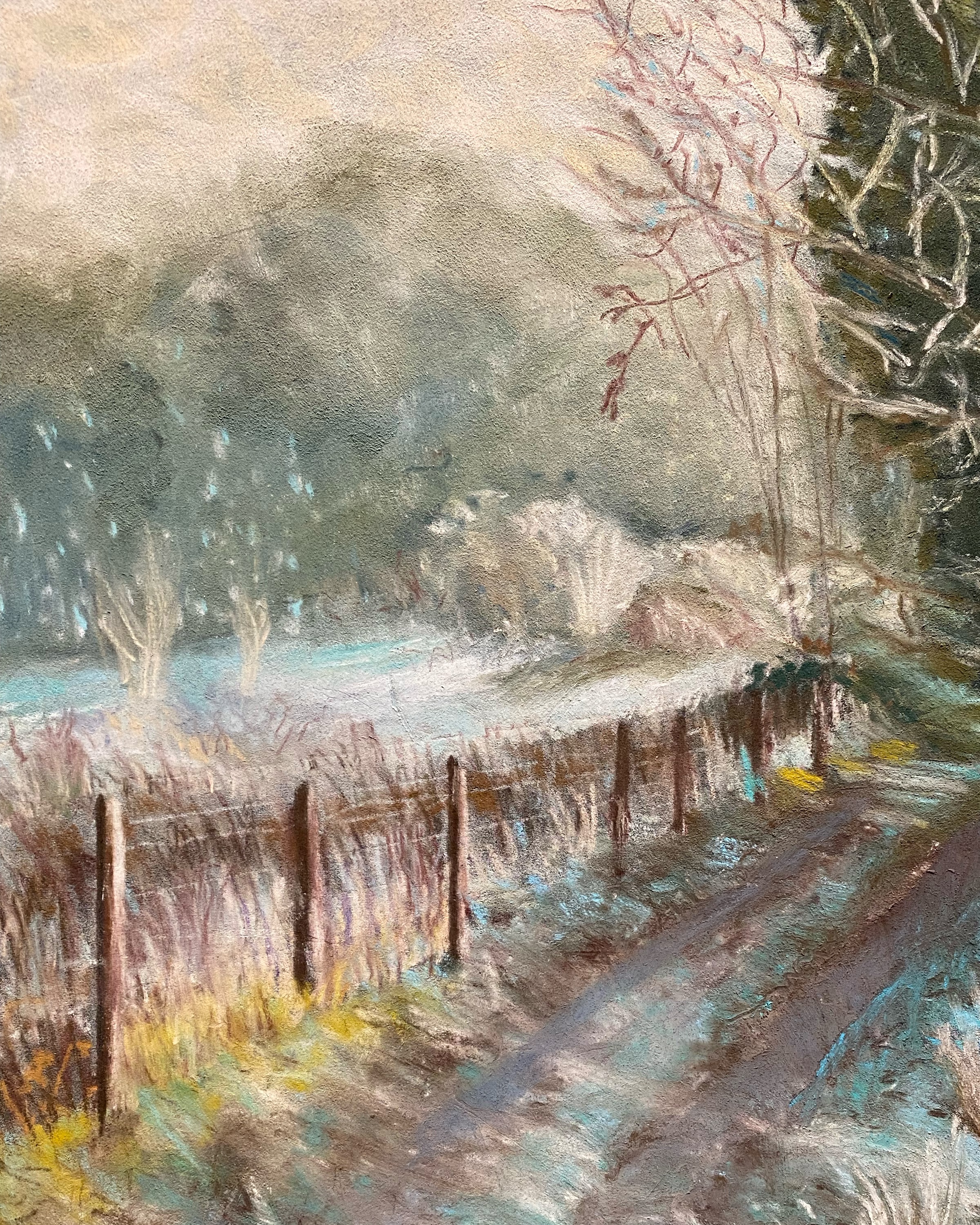 Snowy Pasture 8 x 10 Print Unframed