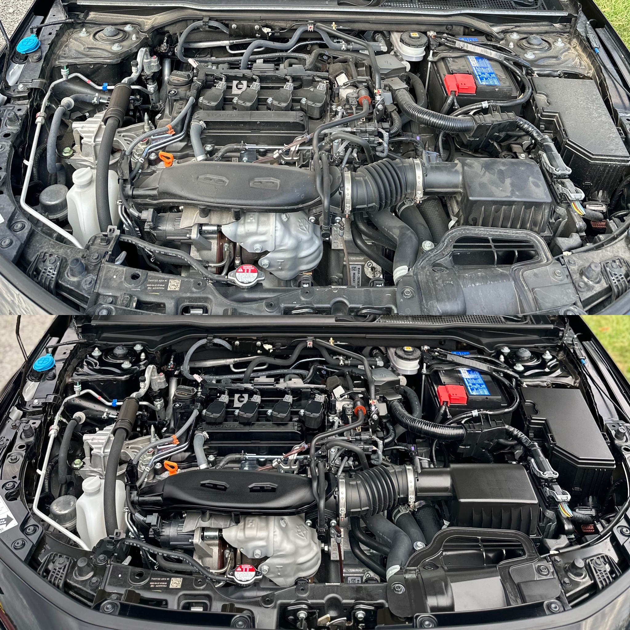 Engine Bay Detail - Small/Medium 