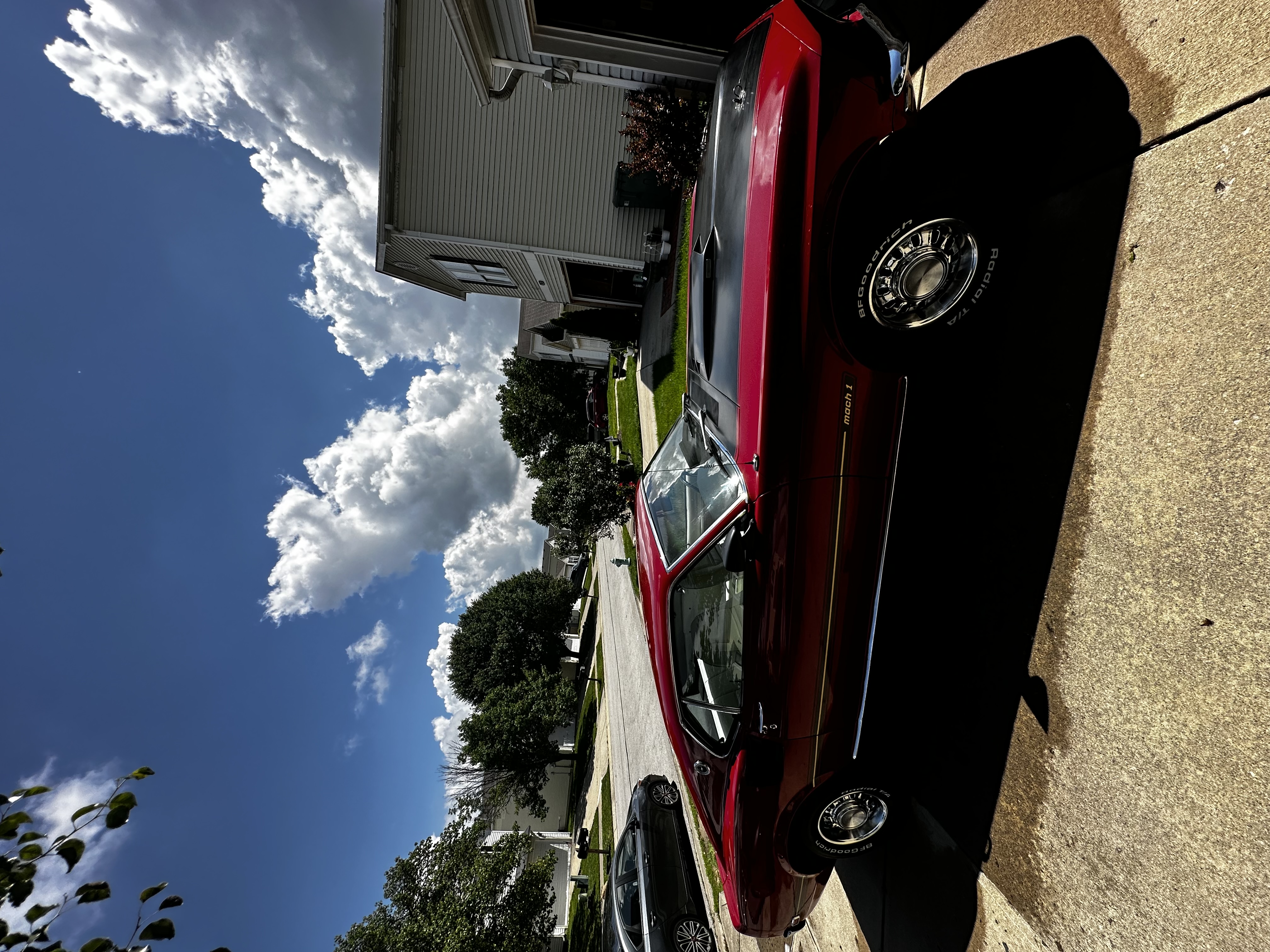 "The Essentials" In & Out Detail - Large (Trucks, Vans, & 3 Row Vehicles)