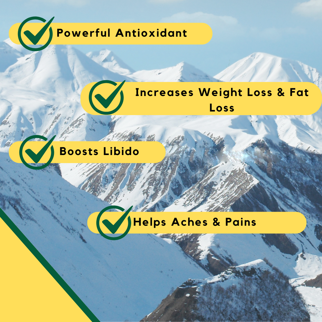 PURE HIMALAYAN SHILAJIT CAPSULES 100% LAB TESTED - 2 MONTH SUPPLY 500,000MCG