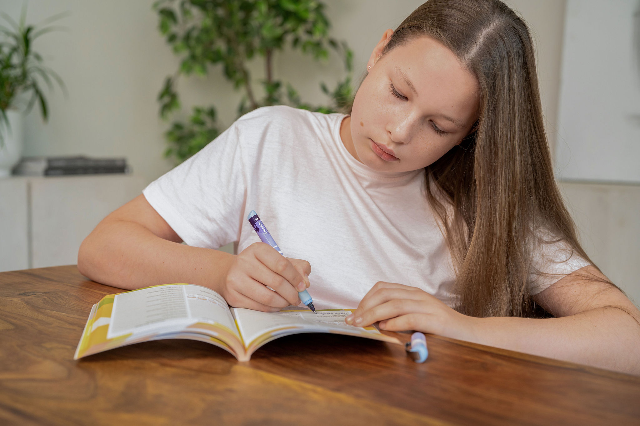 Planuoklis moksleiviams „Planas chuliganas”