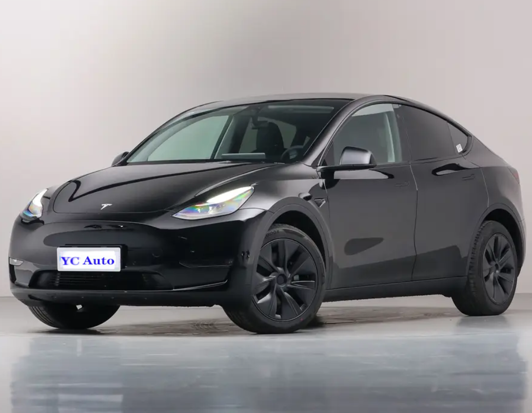 TESLA Model Y Performance