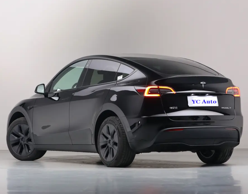 TESLA Model Y Performance