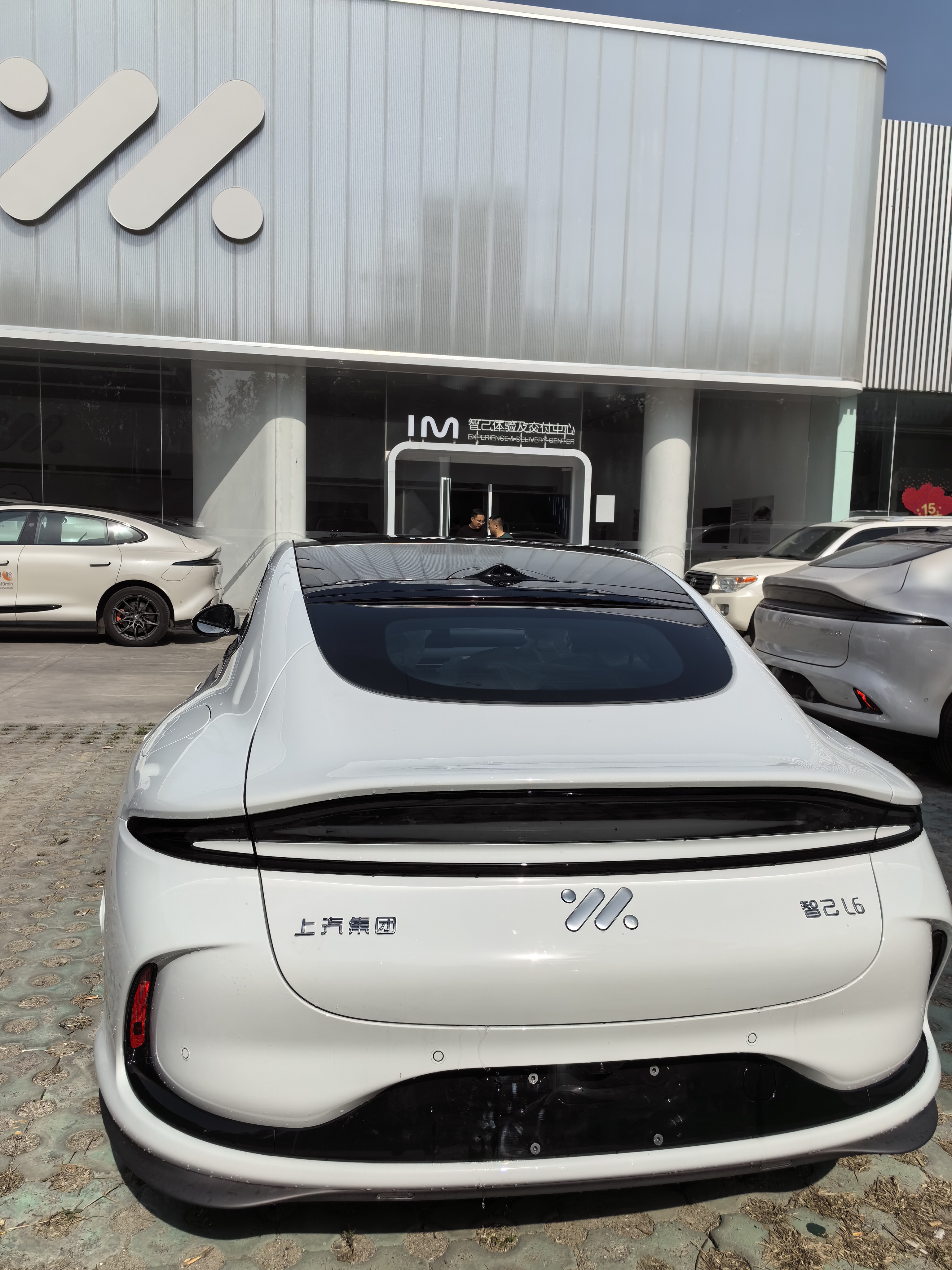 IM L6 Max Ultra Performance 4WD Edition 