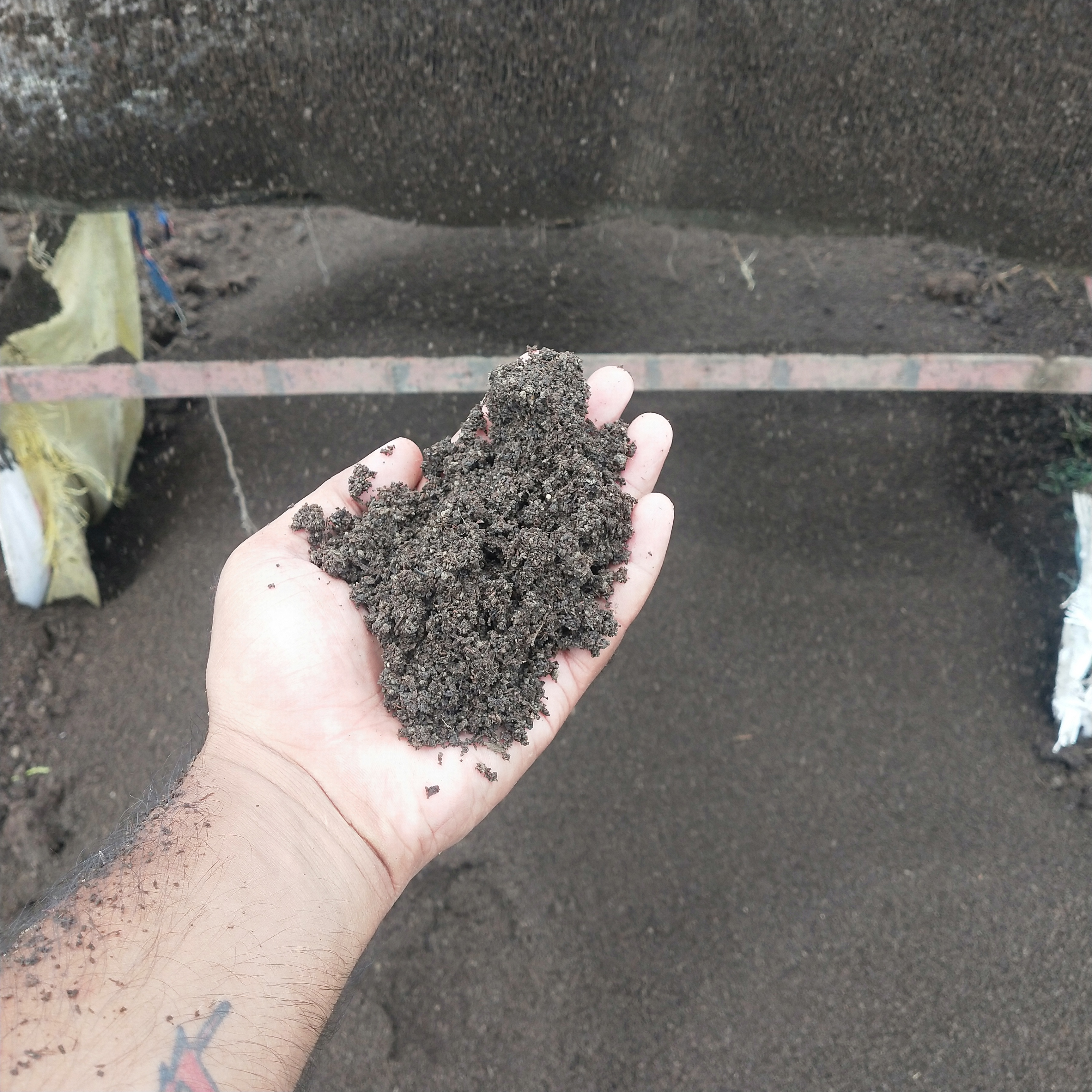 Vermicompost 