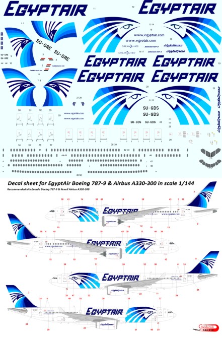  EgyptAir Airbus A330-300 & Boeing 787-9