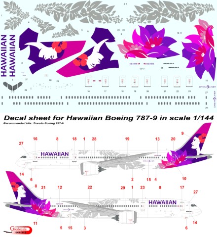 Hawaiian Airlines Boeing 787-9