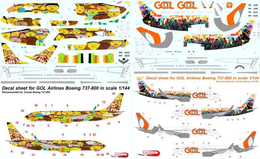 Collection for GOL Airlines  " gemeos & rock in rio "  Boeing 737-800