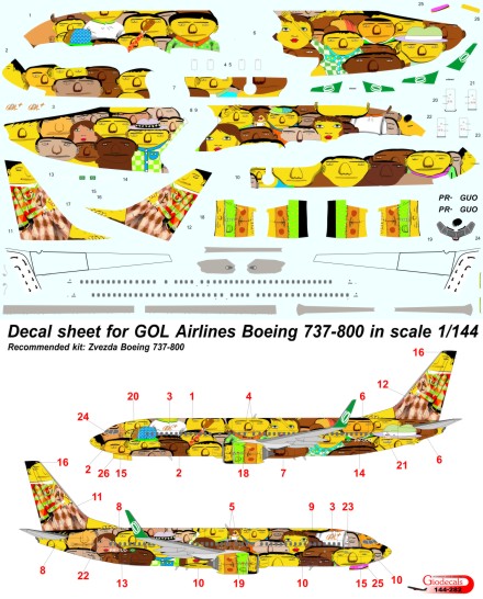  GOL Airlines  " gemeos  "  Boeing 737-800