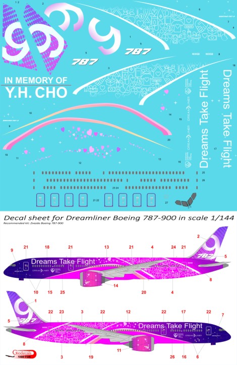 Dreams Take Flight Boeing 787-9