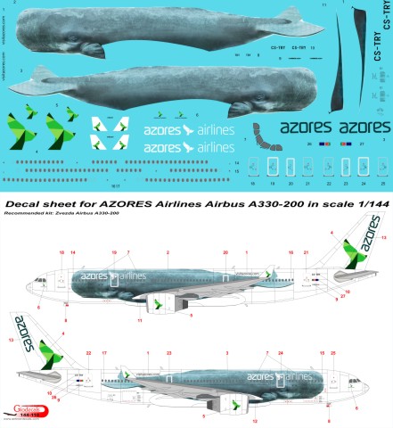  Azores Airbus A330-200 