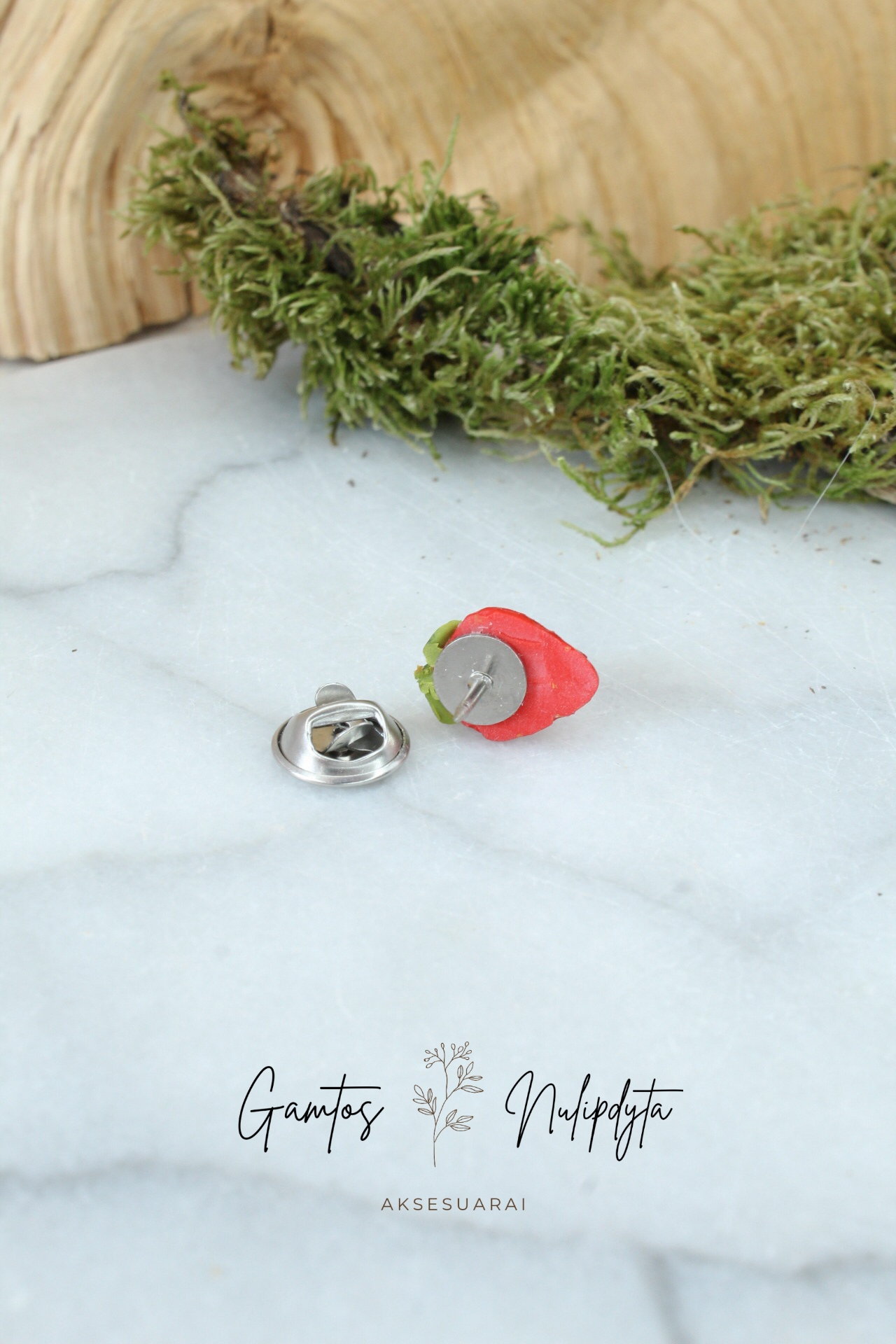 MINI SAGĖ "BRAŠKYTĖ"