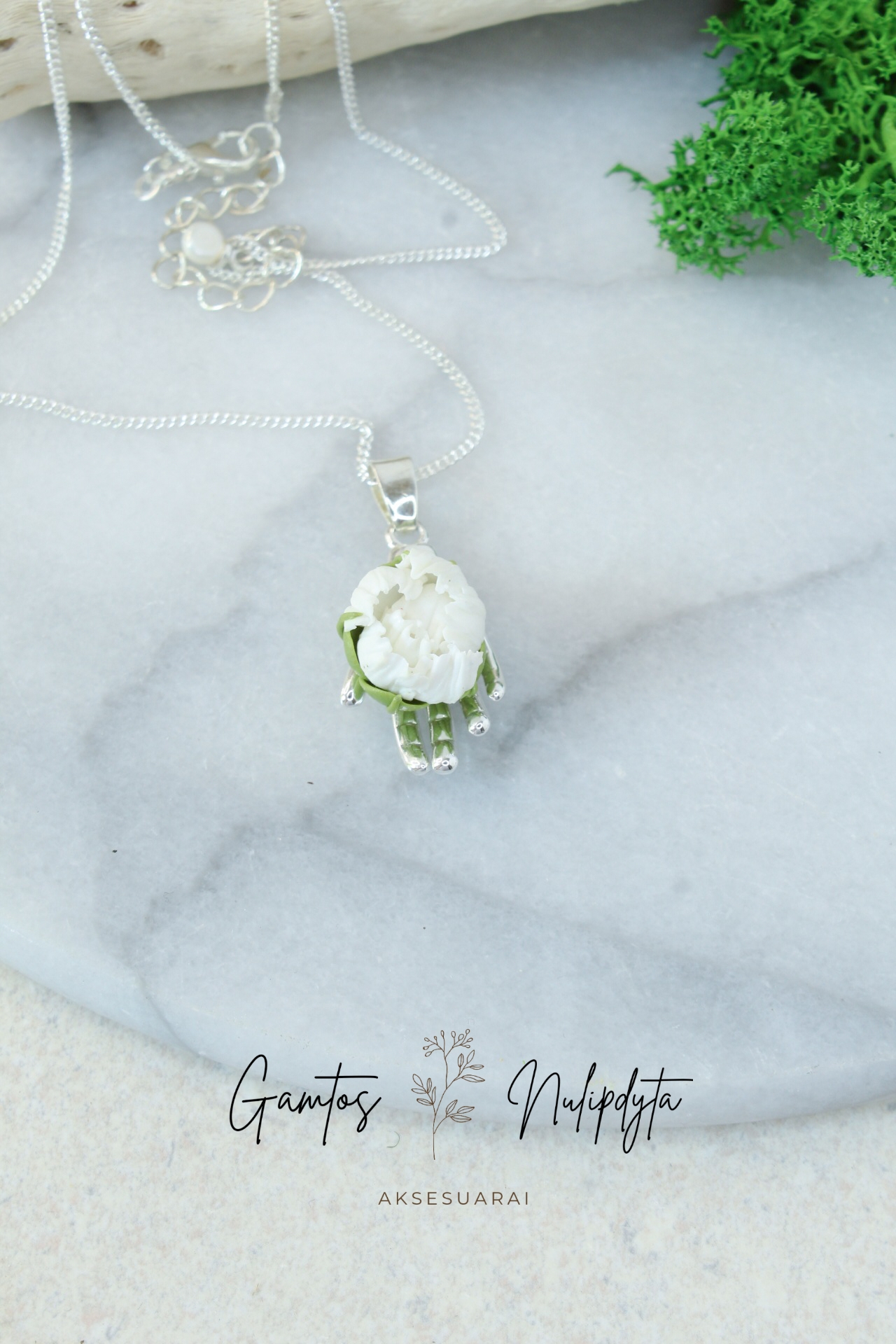 VĖRINYS "BIJŪNAS DELNE"