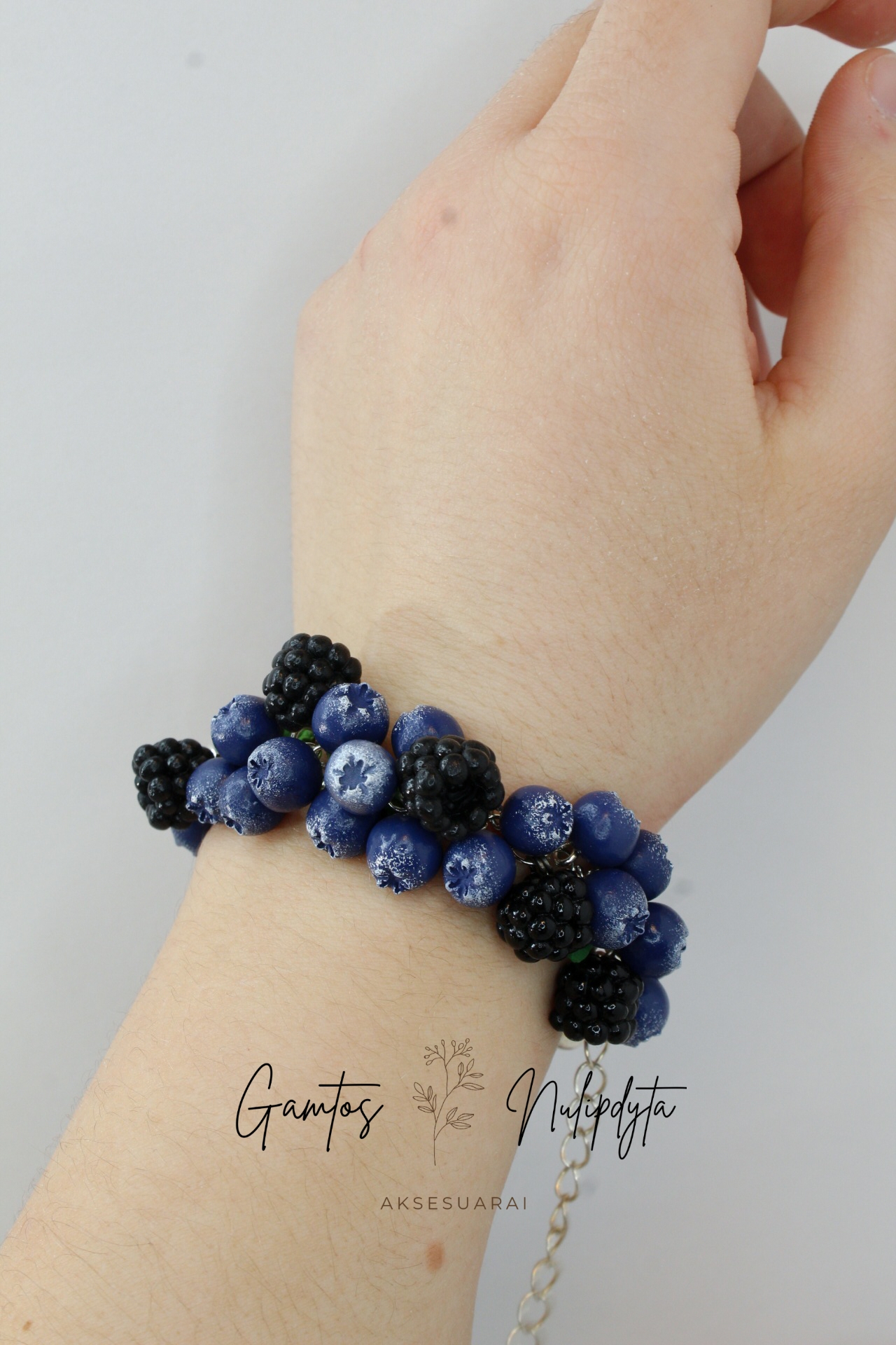 APYRANKĖ "ŠILAUOGĖS+GERVUOGĖS"