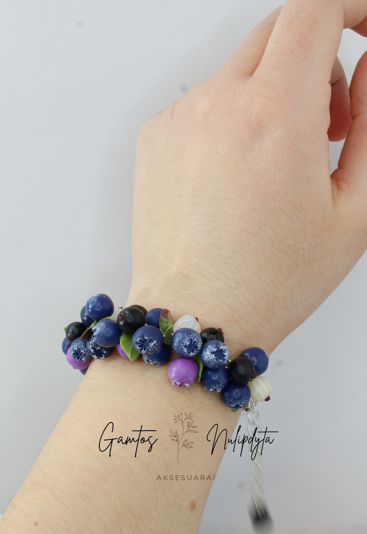 APYRANKĖ "ŠILAUOGĖS+SERBENTAI"