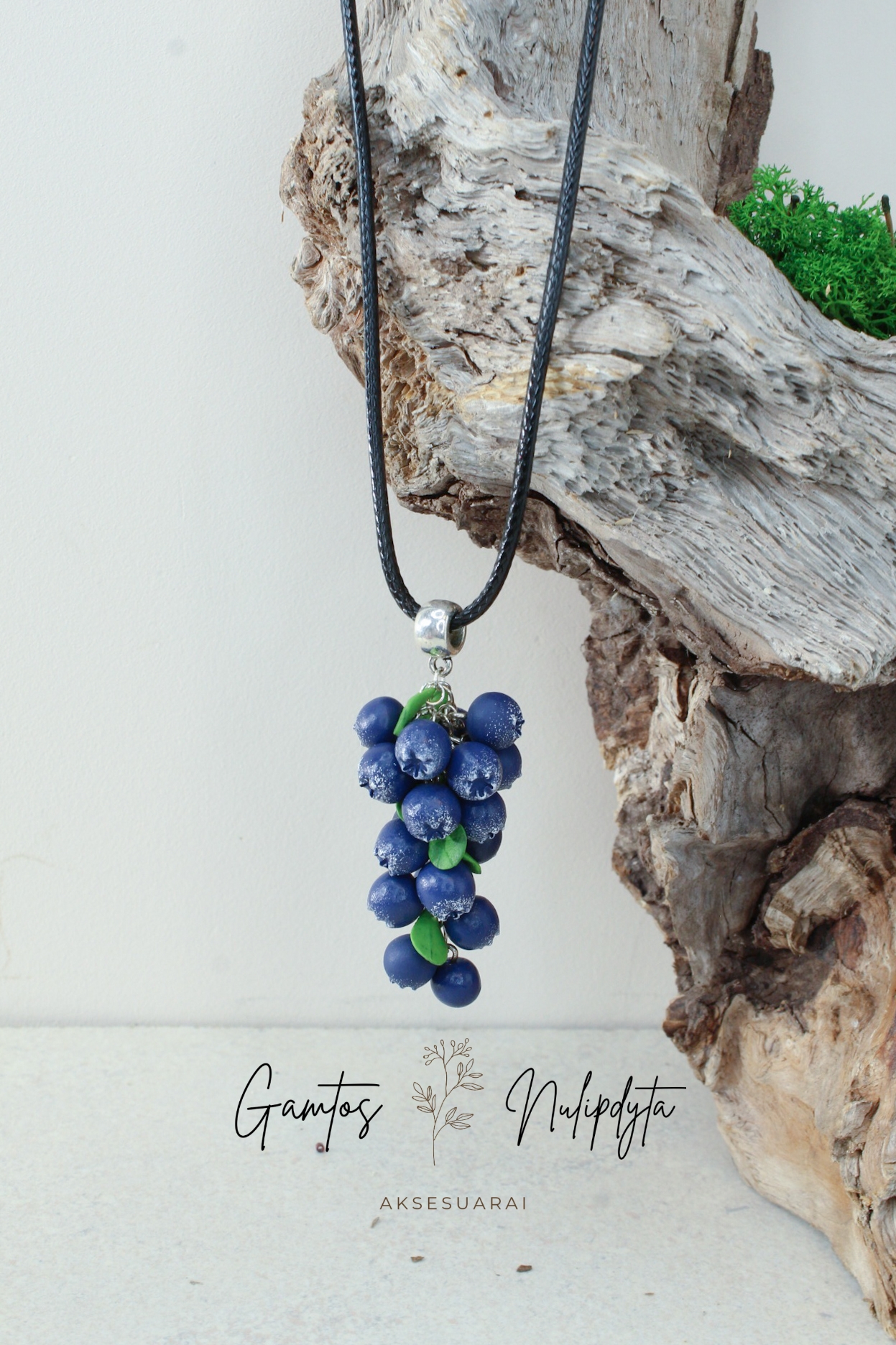 VĖRINYS "ŠILAUOGĖS"