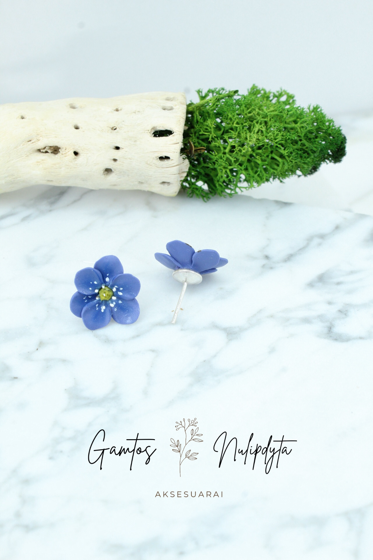 AUSKARAI "ŽIBUTĖS" SID.VIN.