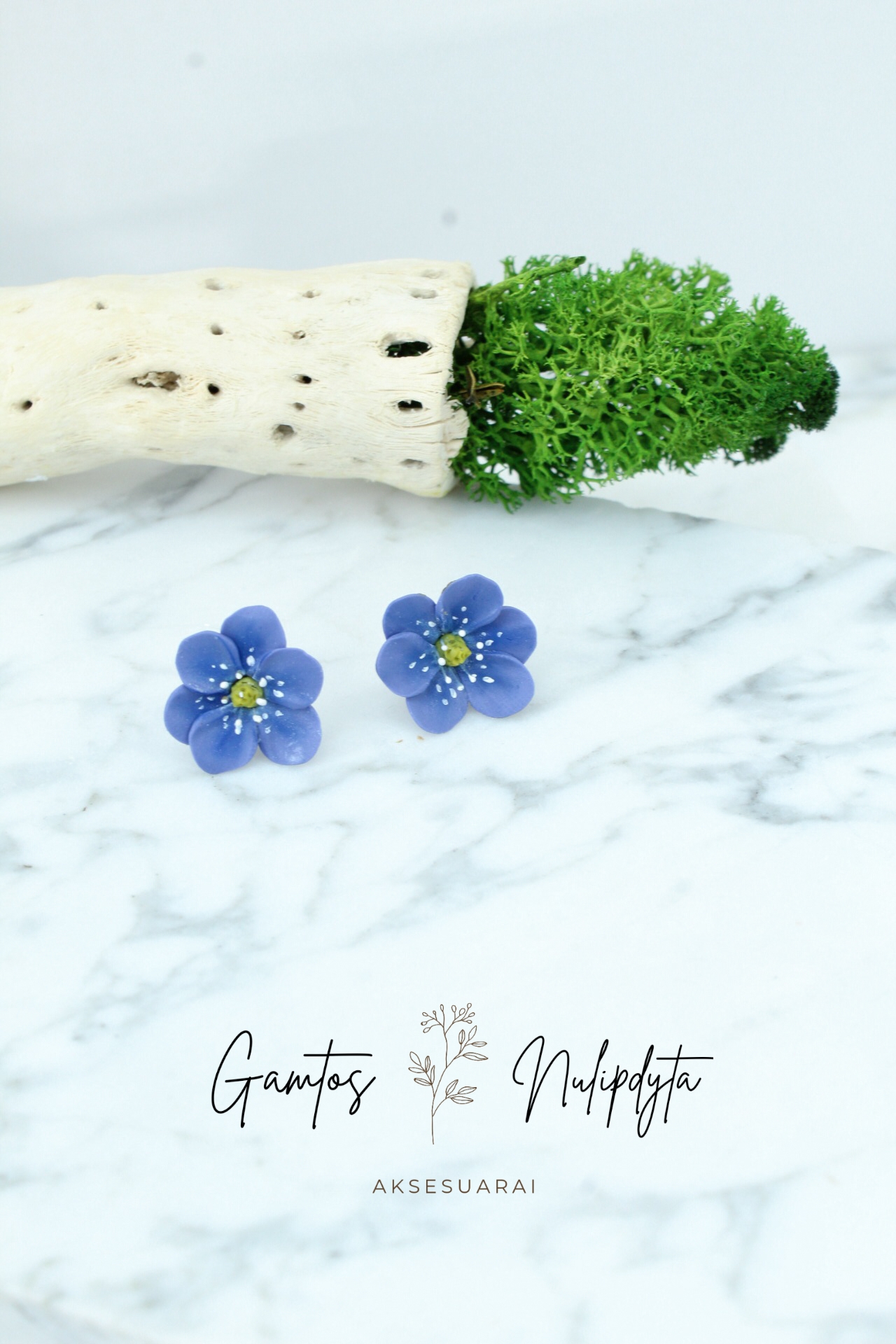 AUSKARAI "ŽIBUTĖS" SID.VIN.