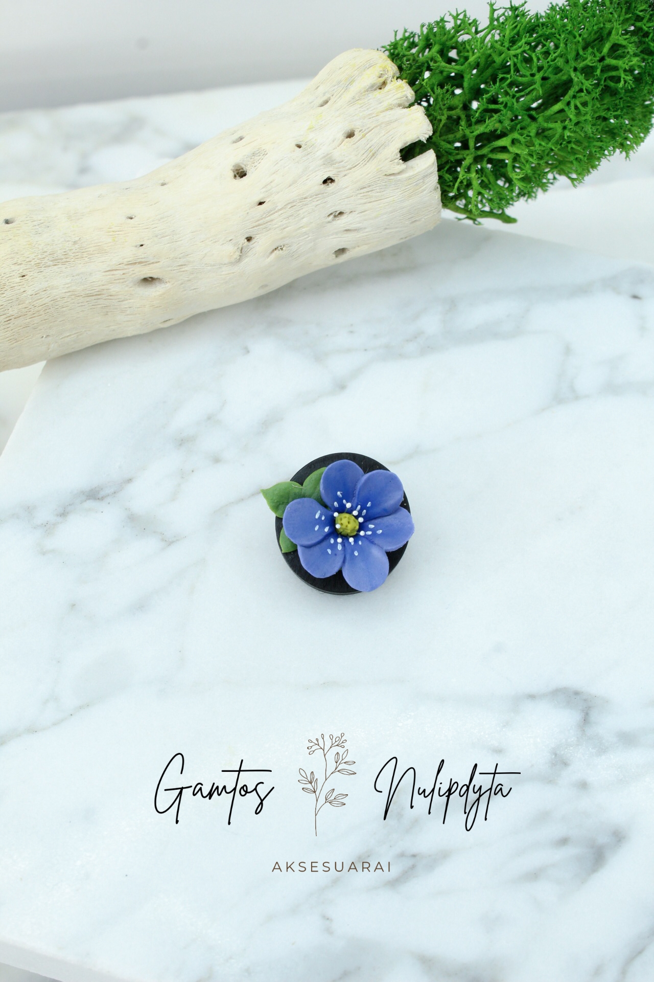 MINI SAGĖ "ŽIBUTĖ"