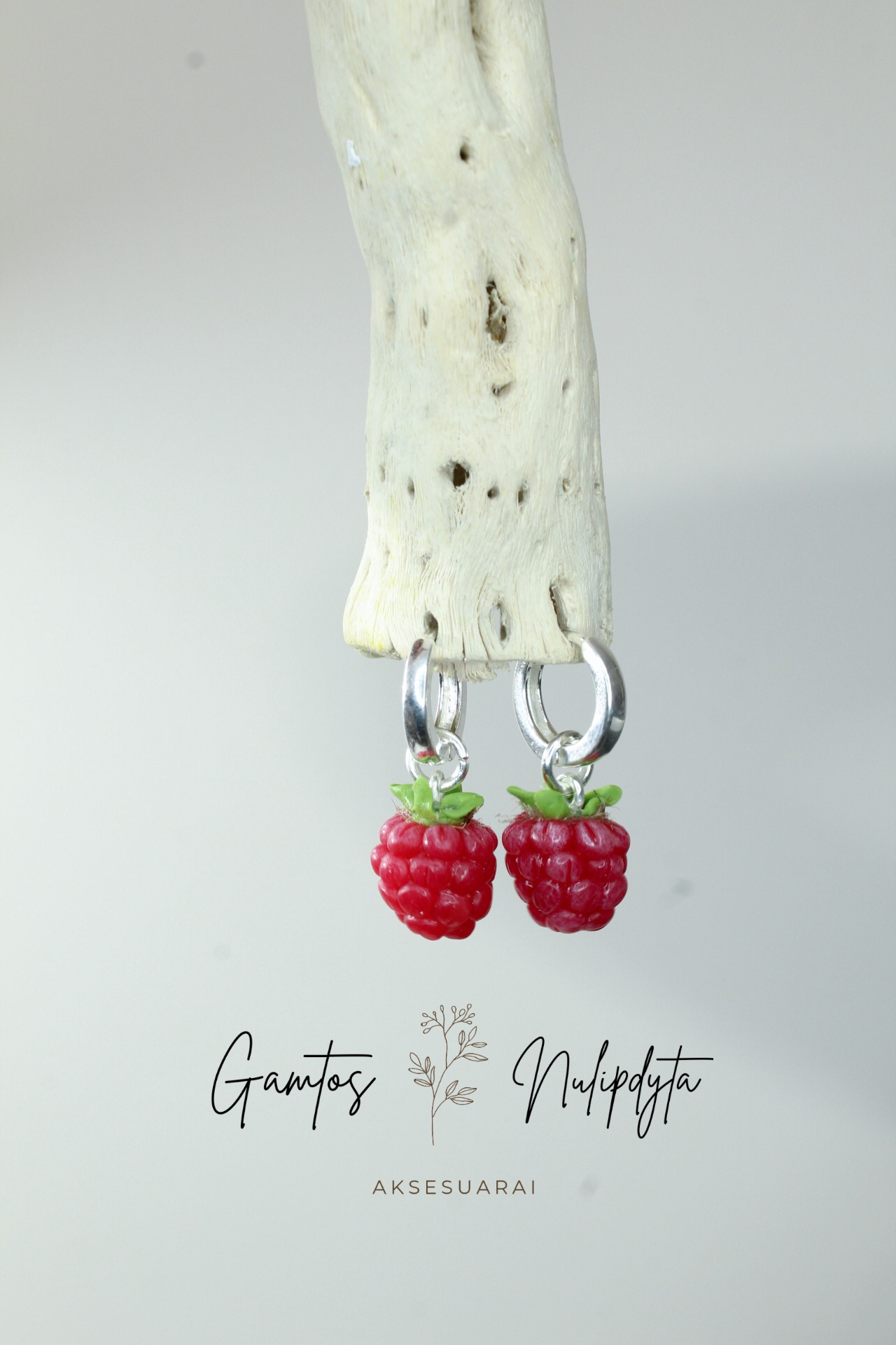 AUSKARAI "AVIETĖS" RINKUTĖS