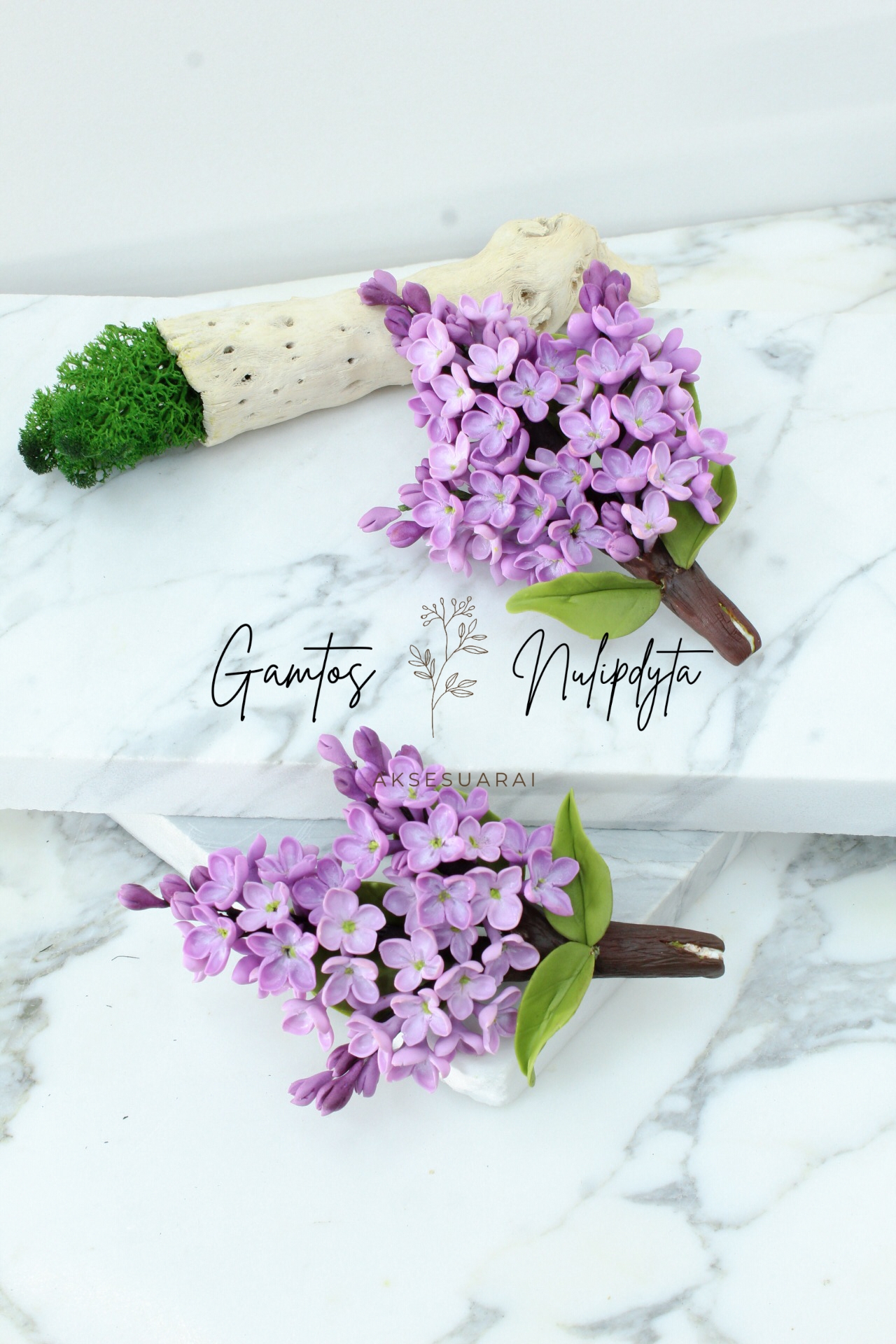 SAGĖ "ALYVŲ ŠAKELĖ"