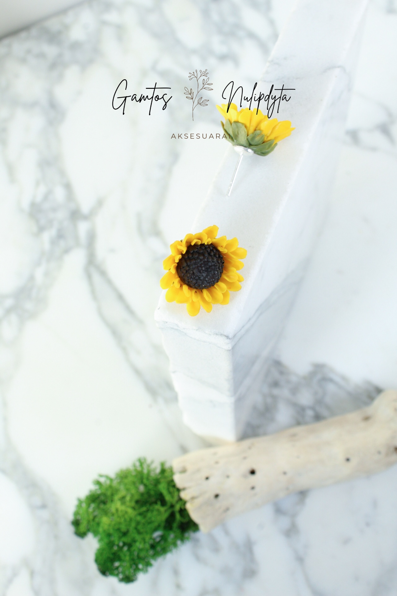 AUSKARAI "SAULĖGRĄŽOS' SID.VIN.