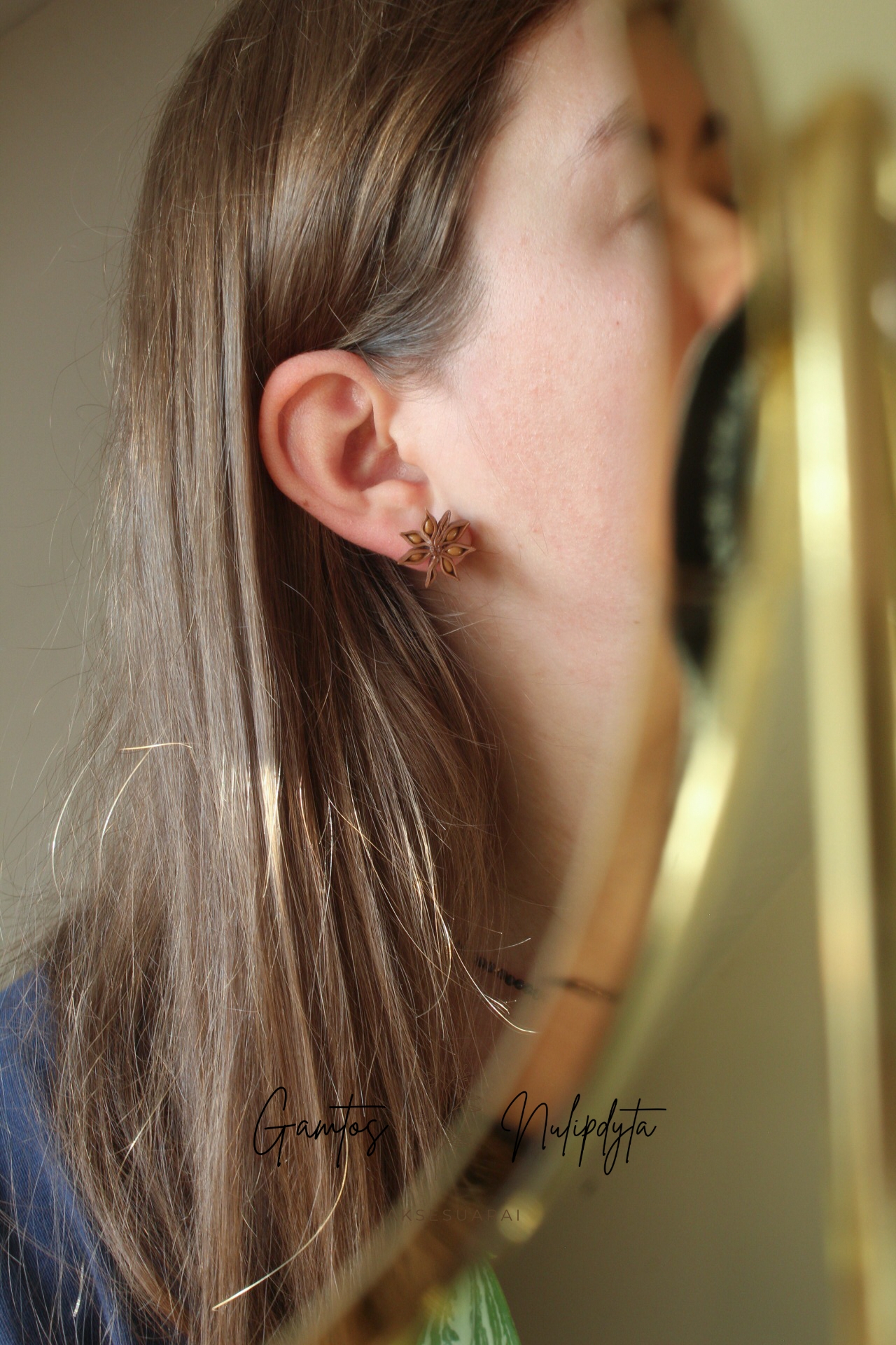 AUSKARAI "ANYŽIUS" SID.VIN.