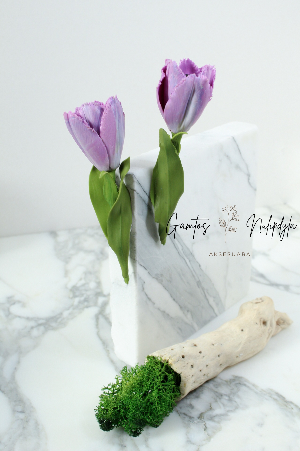 SAGĖ "TULPĖ" ŠERKŠNOTOSIOS