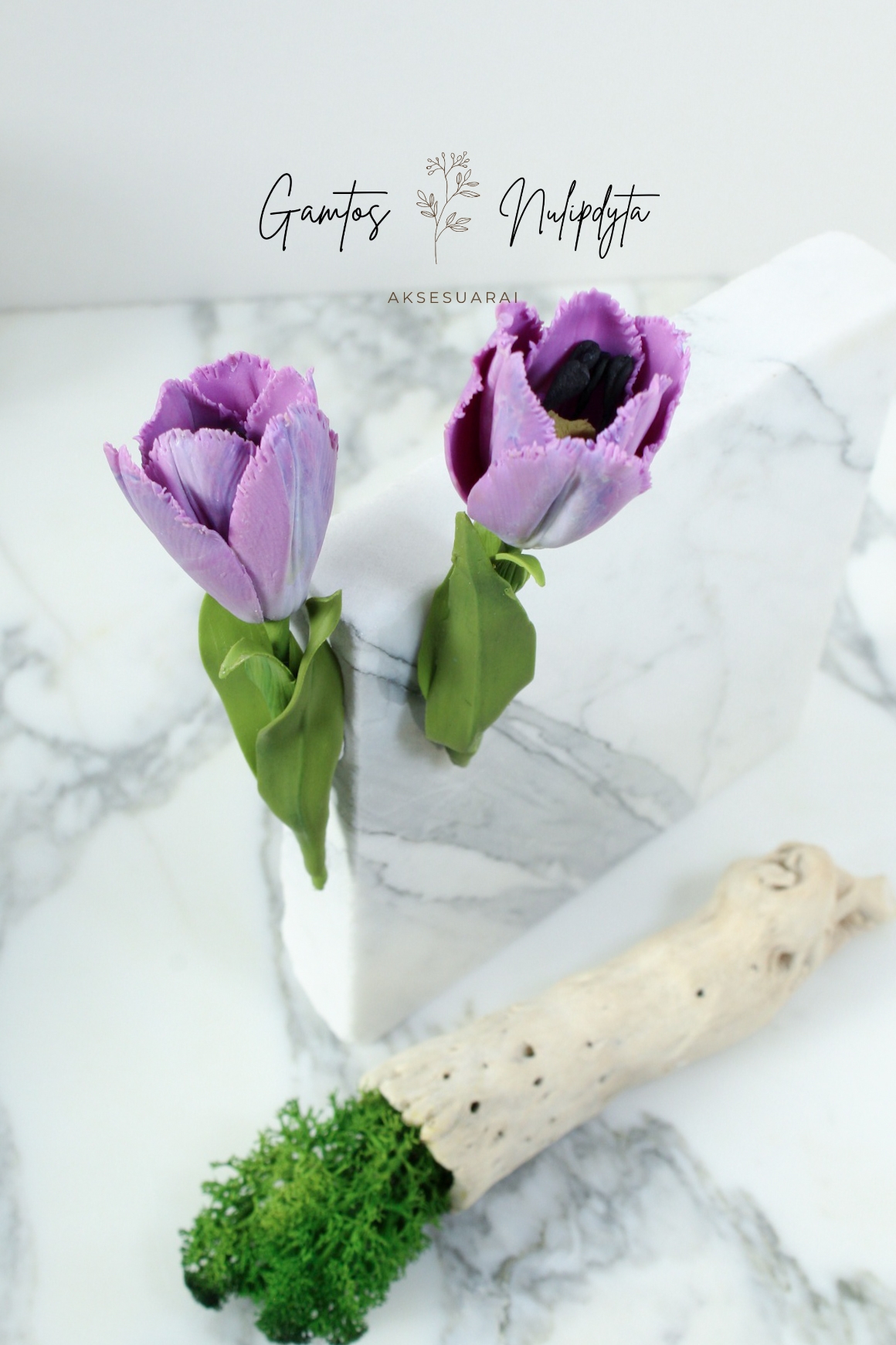 SAGĖ "TULPĖ" ŠERKŠNOTOSIOS