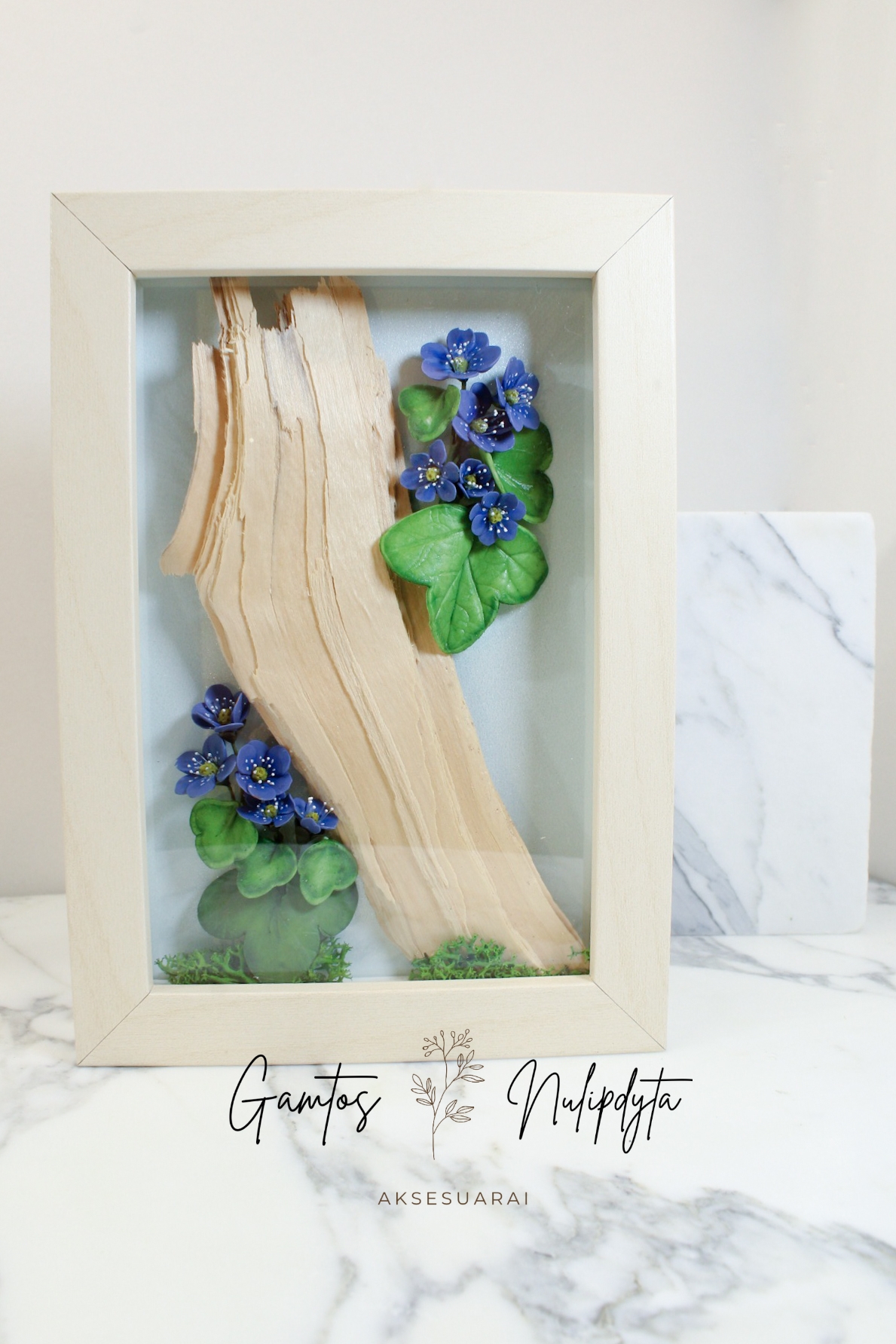 PAVEIKSLAS "ŽIBUTĖS"