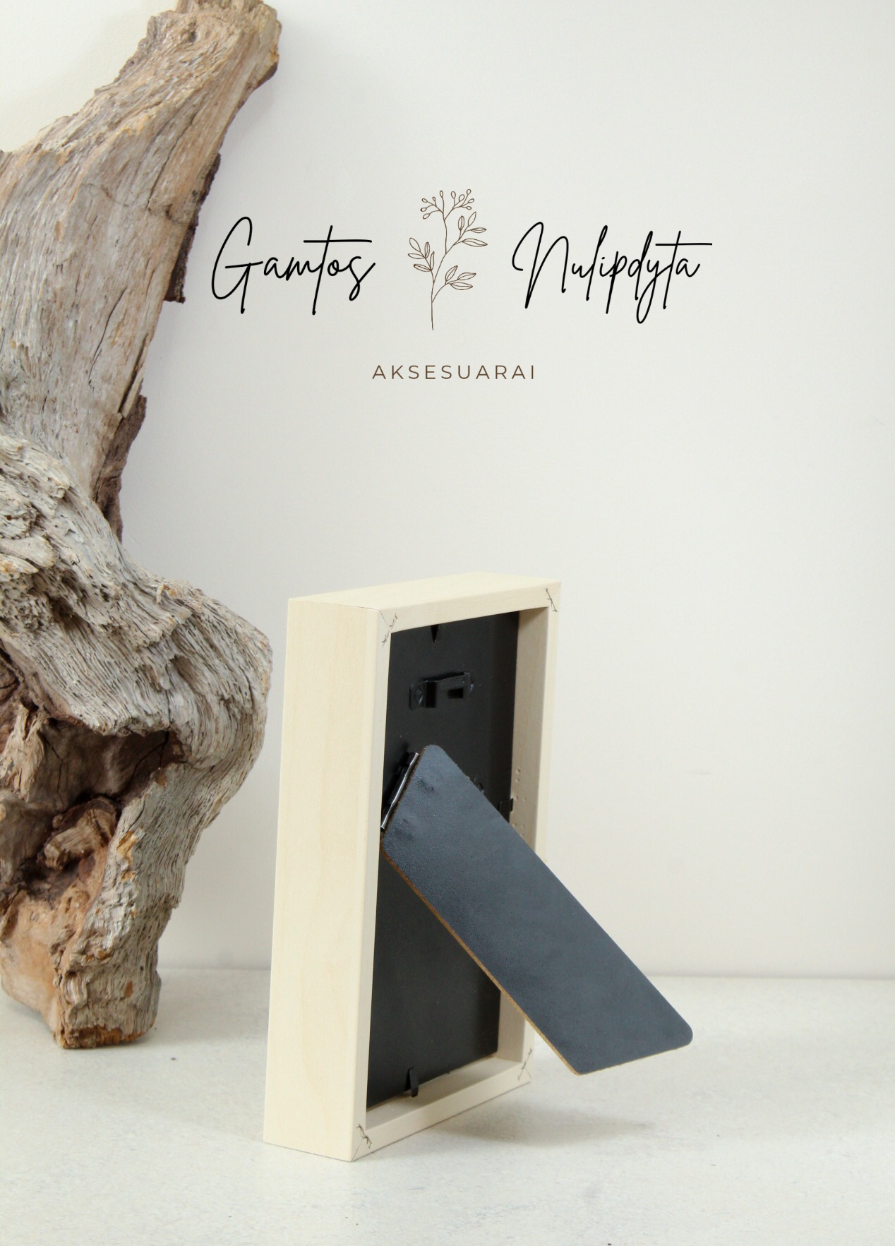 PAVEIKSLAS "SNIEGUOLĖS" MINI