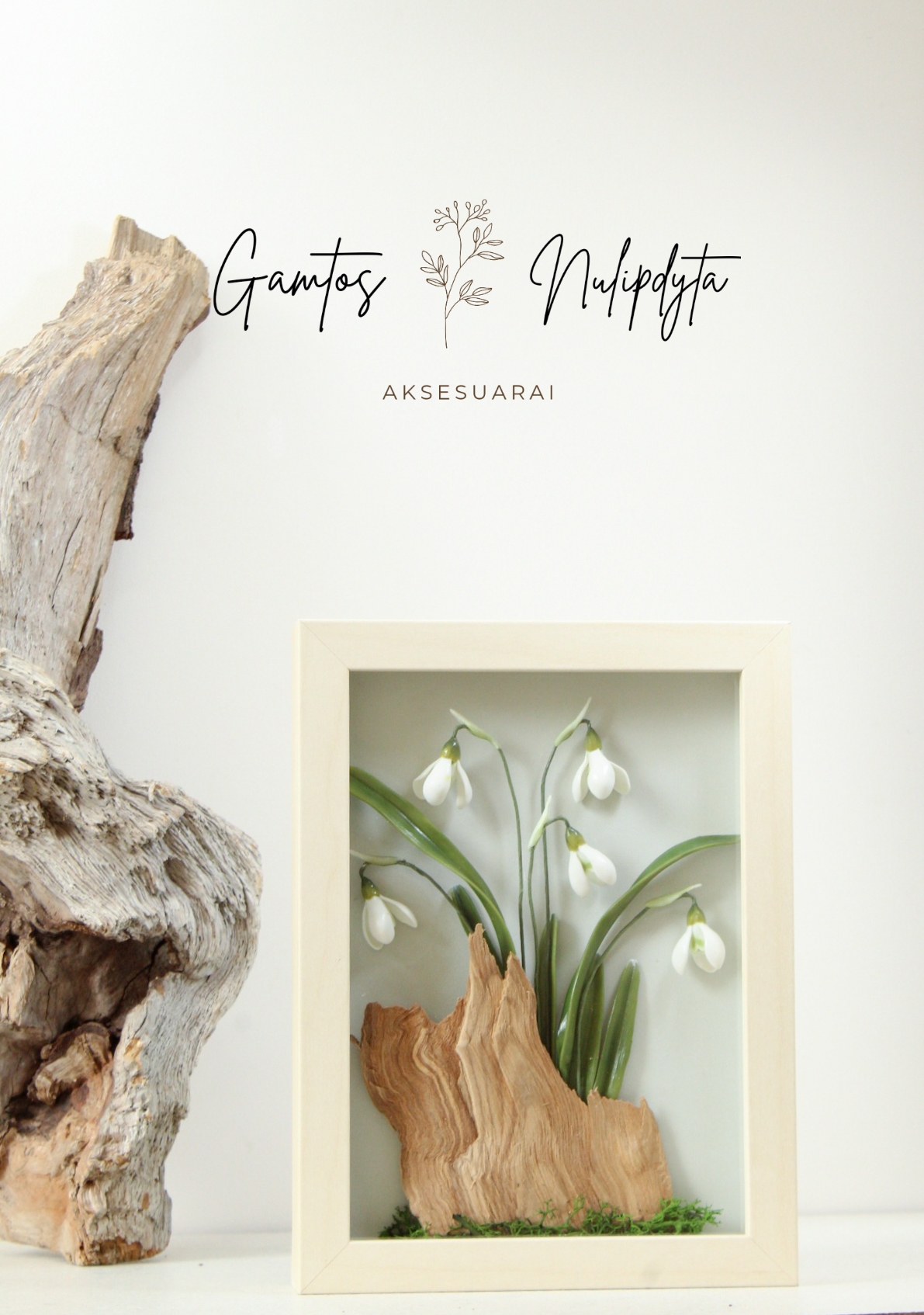 PAVEIKSLAS "SNIEGUOLĖS"