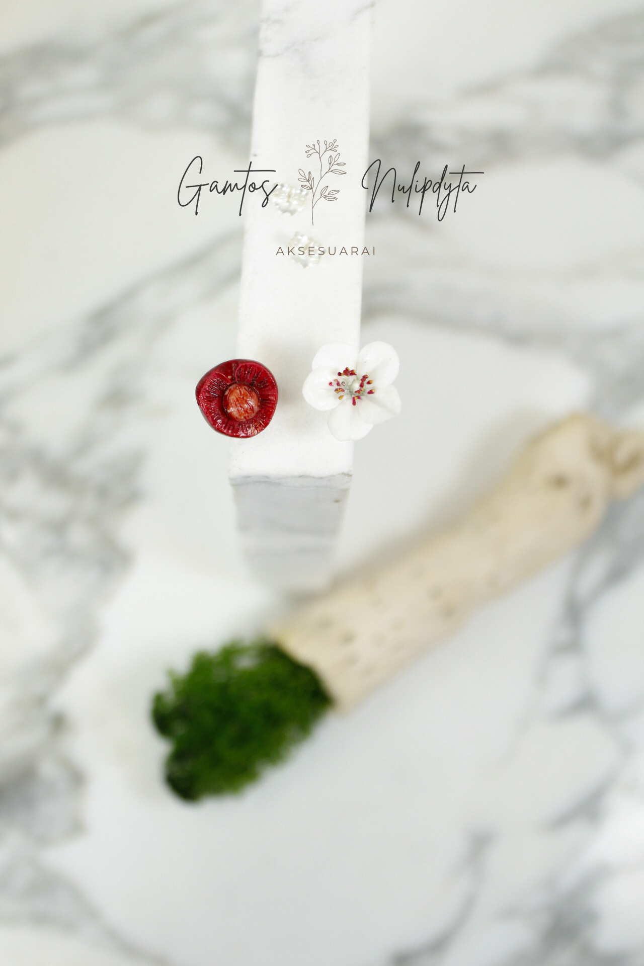 AUSKARAI "VYŠNAITĖ+ŽIEDELIS" SID.VIN.