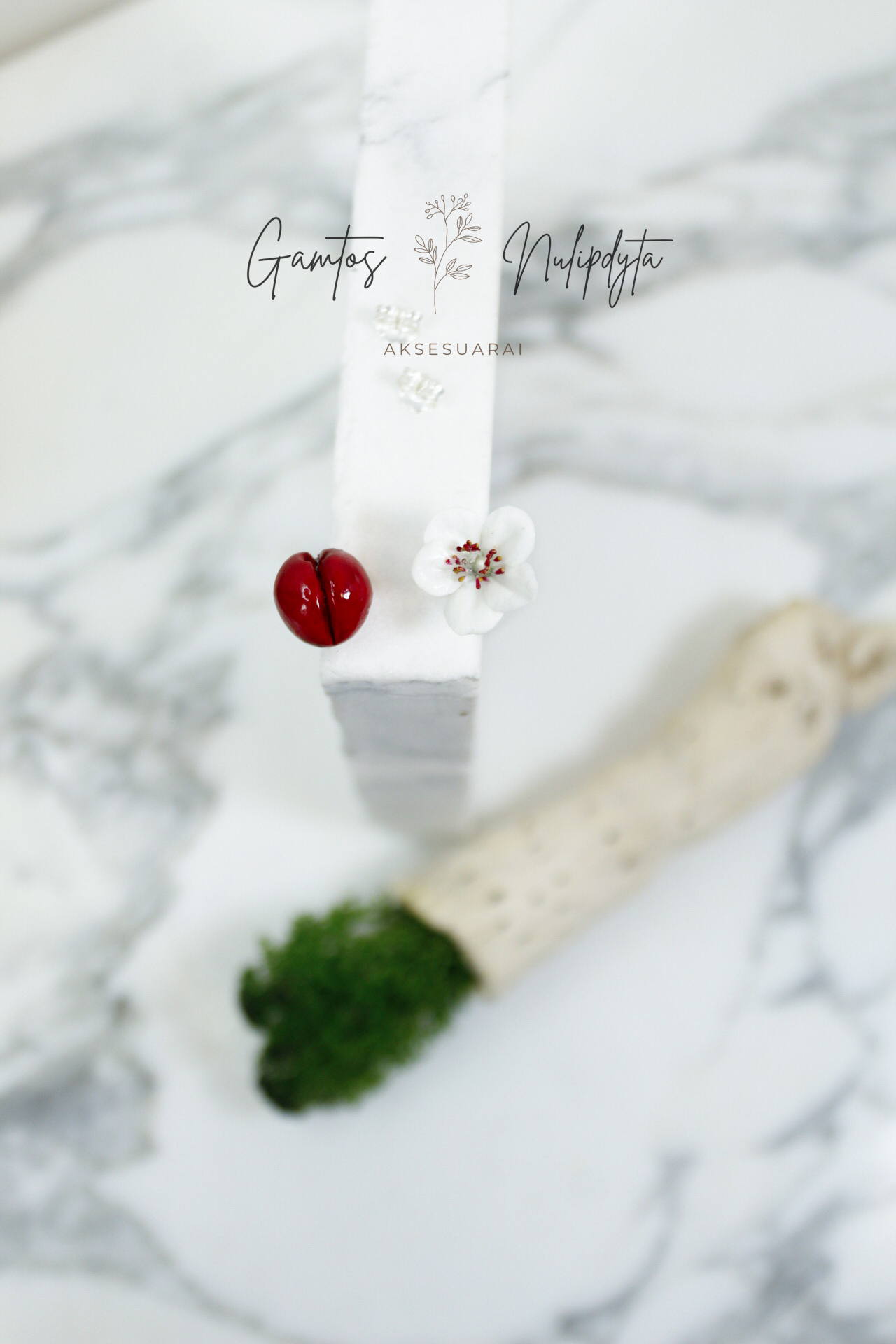 AUSKARAI "VYŠNAITĖ+ŽIEDELIS" SID.VIN.