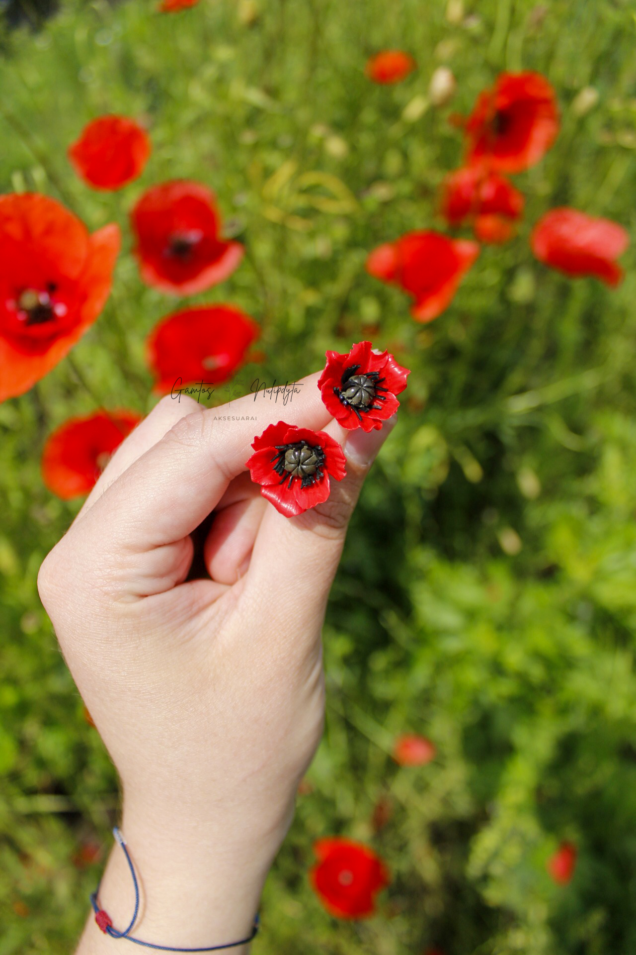 AUSKARAI "AGUONOS" SID.VIN.