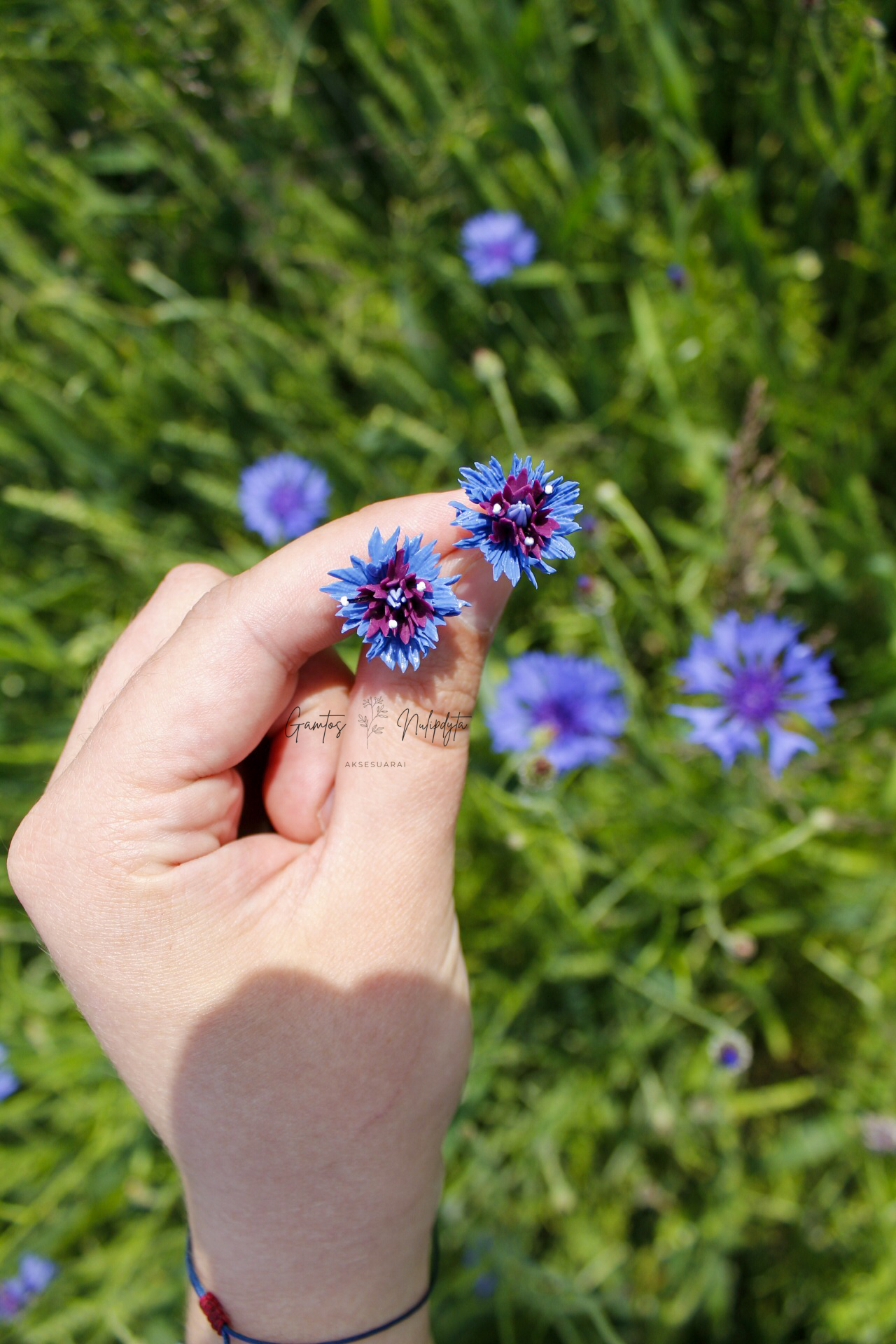 AUSKARAI "RUGIAGĖLĖS" SID.VIN