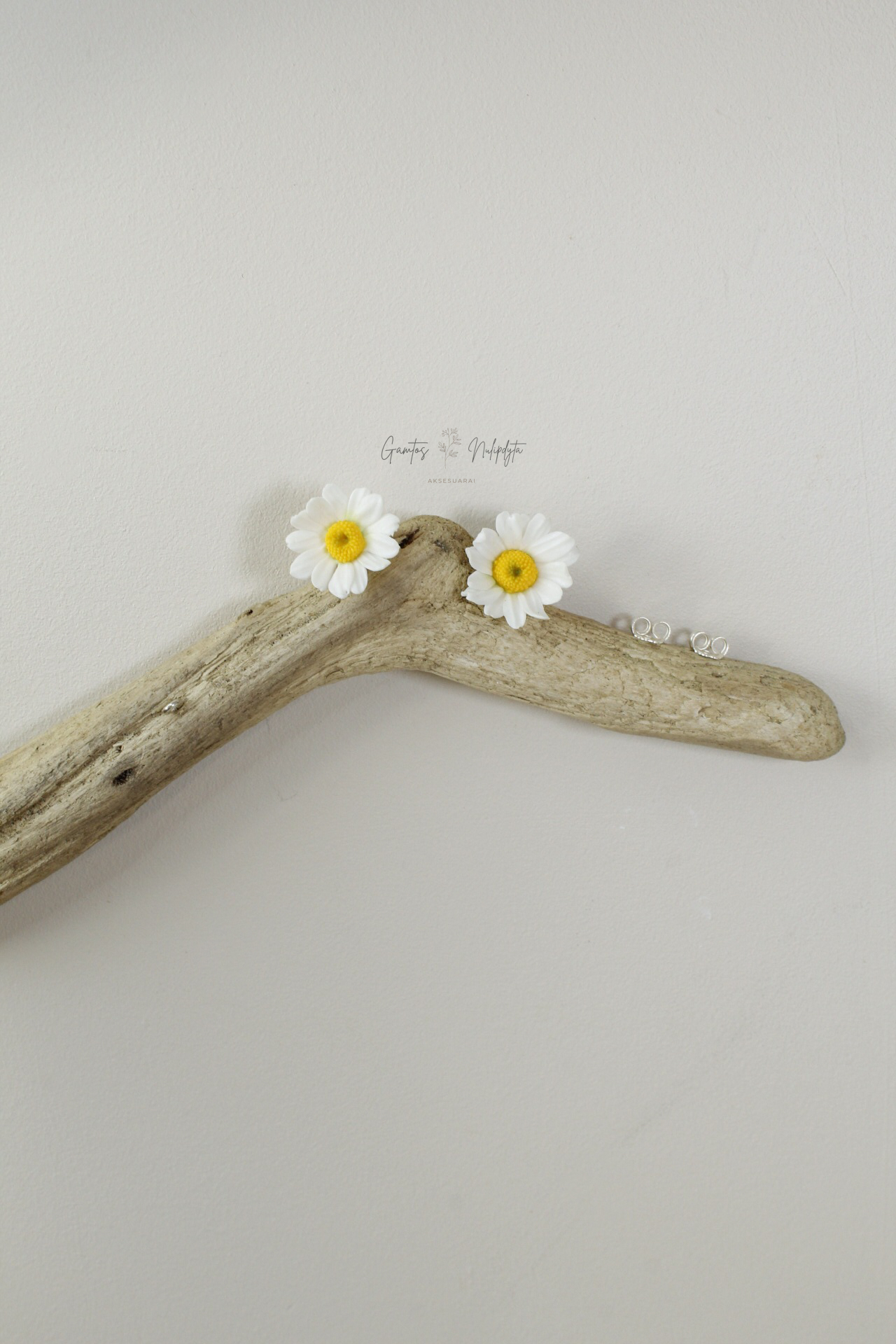 AUSKARAI "RAMUNĖLĖS' SID.VIN.