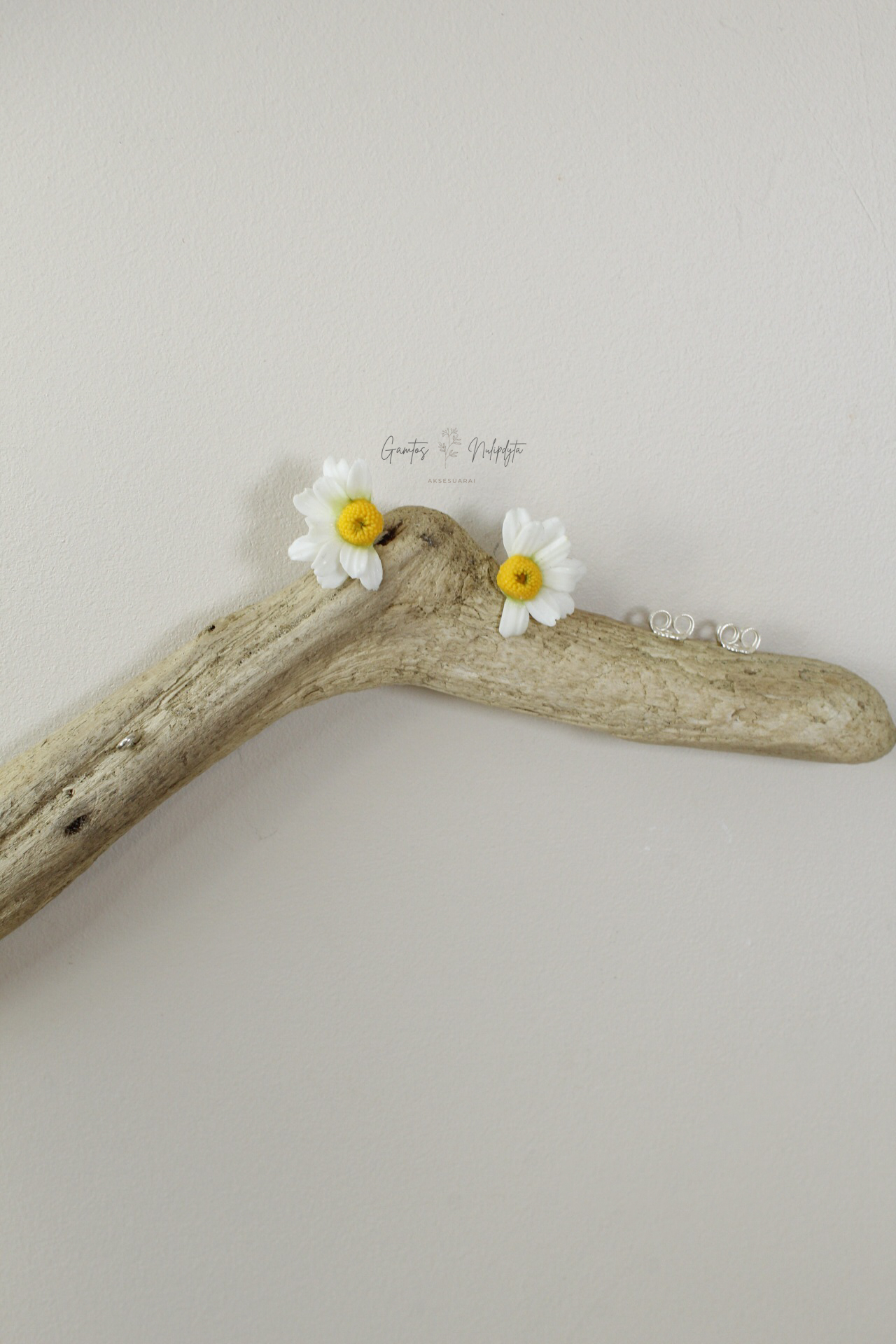 AUSKARAI "RAMUNĖLĖS" PUSELĖS SID.VIN.