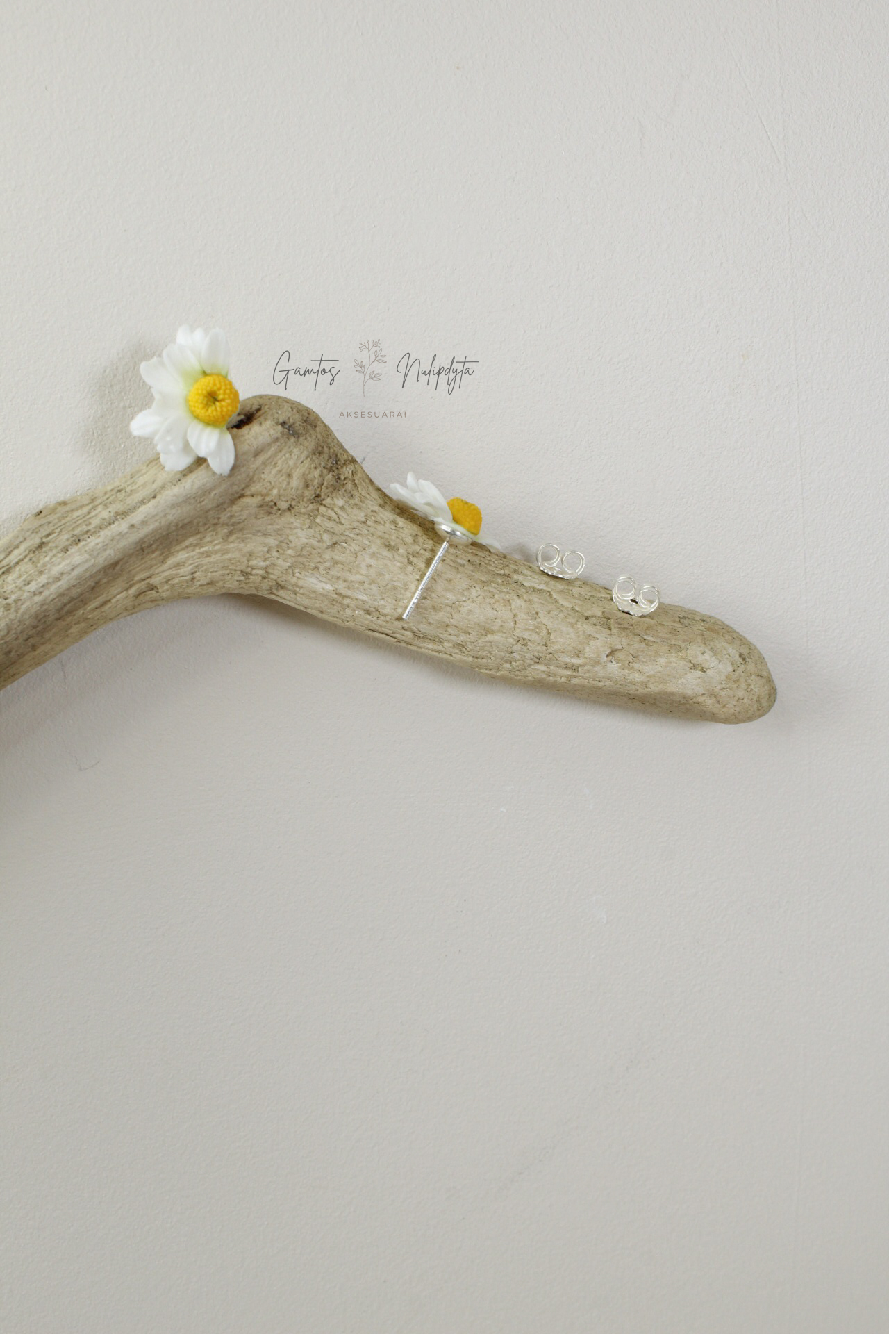 AUSKARAI "RAMUNĖLĖS" PUSELĖS SID.VIN.