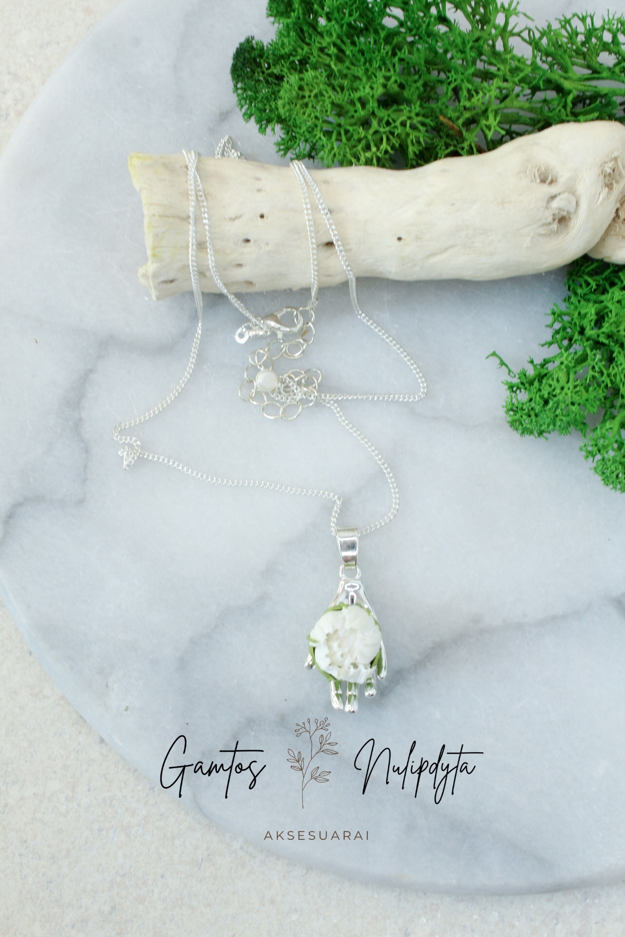 VĖRINYS "BIJŪNAS DELNE"