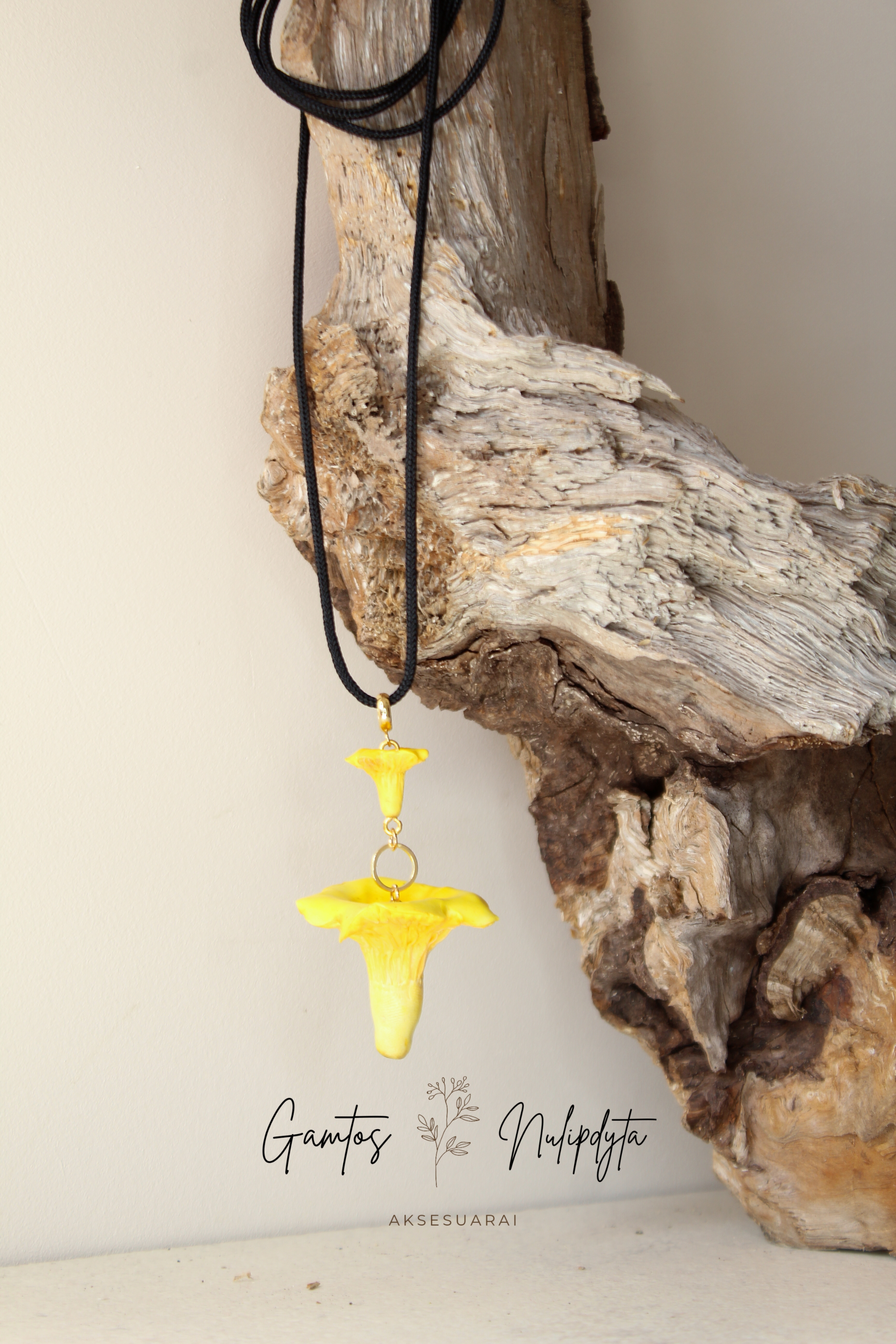 VĖRINYS "VOVERAITĖS"