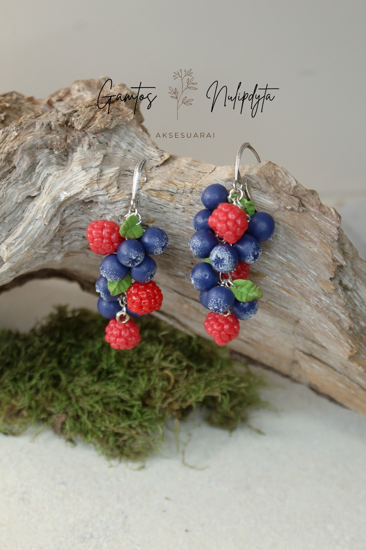 AUSKARAI "ŠILAUOGĖS+AVIETĖS" ANGL.UŽ.