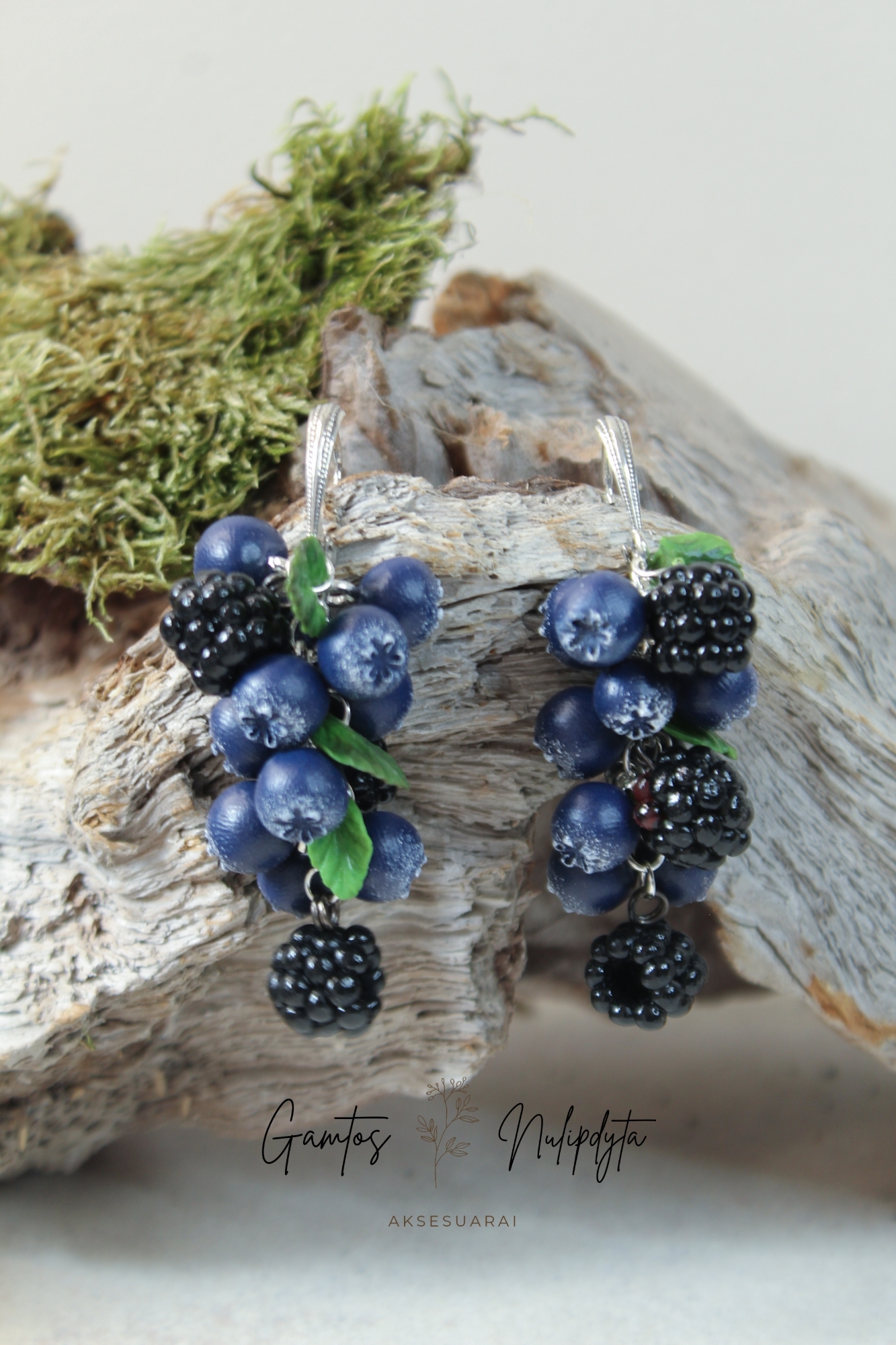 AUSKARAI "ŠILAUOGĖS+GERVUOGĖS" ANGL.UŽ.