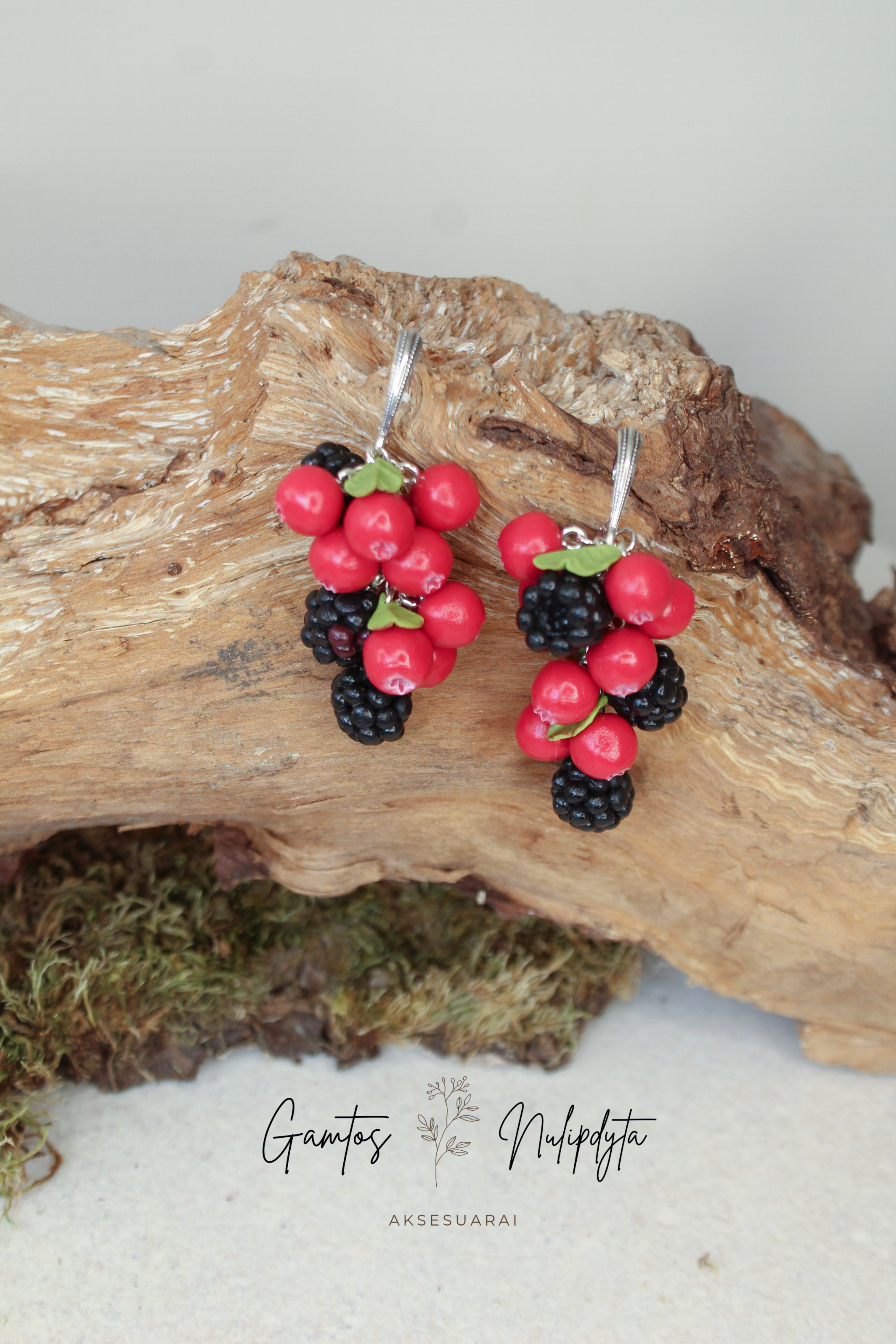 AUSKARAI "SPANGUOLĖS+GERVUOGĖS" ANGL.UŽS.