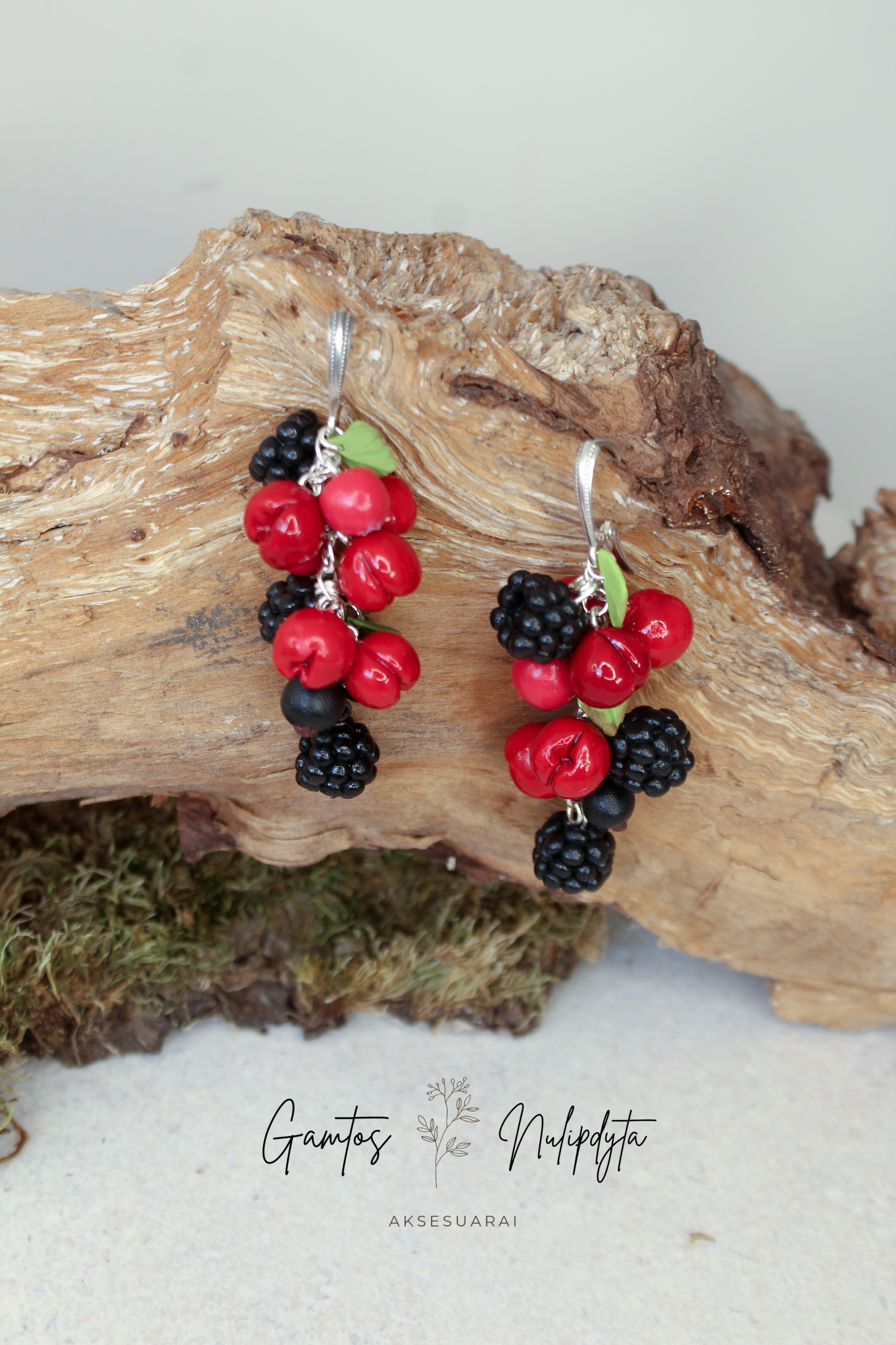 AUSKARAI "VYŠNAITĖS+GERVUOGĖS" ILGI ANG.UŽ.