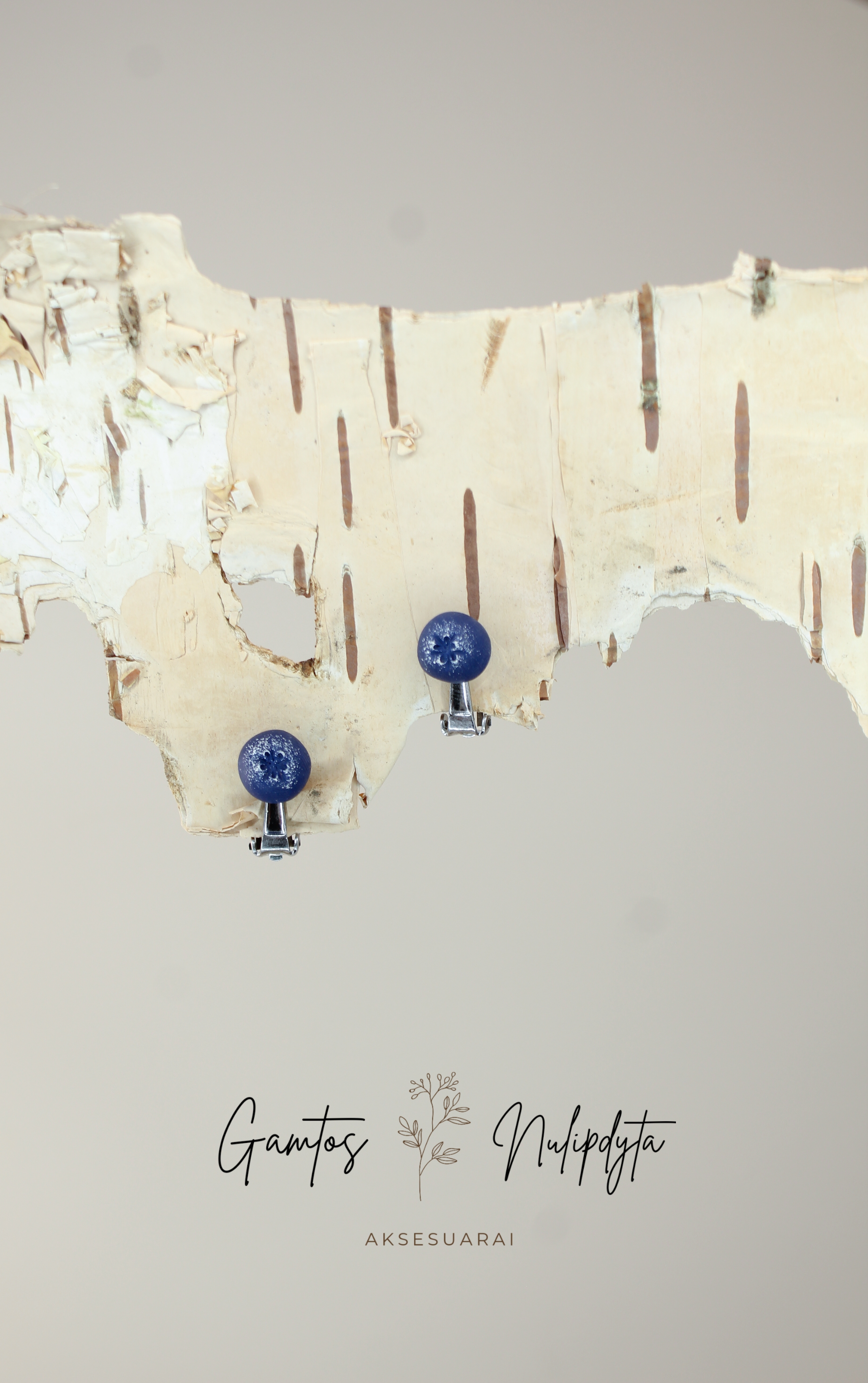 KLIPSAI "ŠILAUOGĖS"