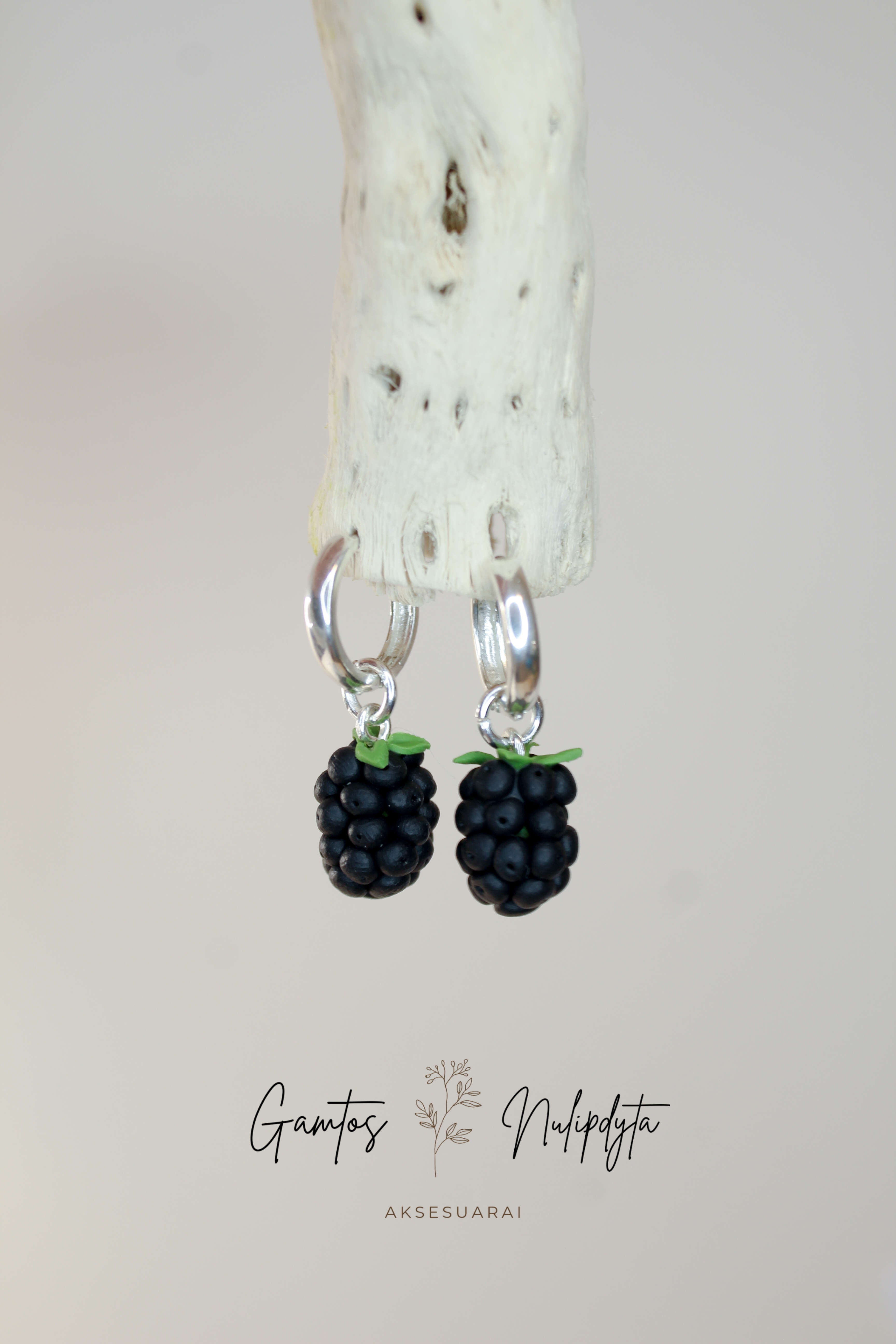 AUSKARAI "GERVUOGĖS" RINKUTĖS